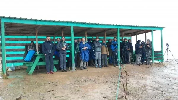 Counters and ecotourists sheltering from the rain