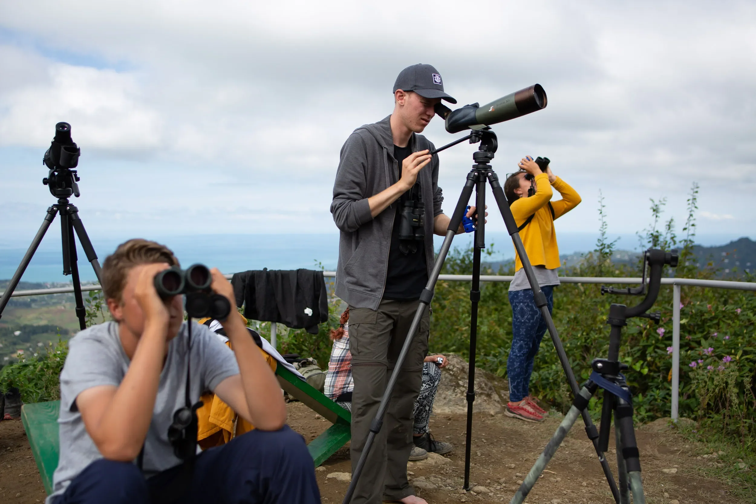 Counting and identifying raptors in streams close and far, using binoculars and scopes