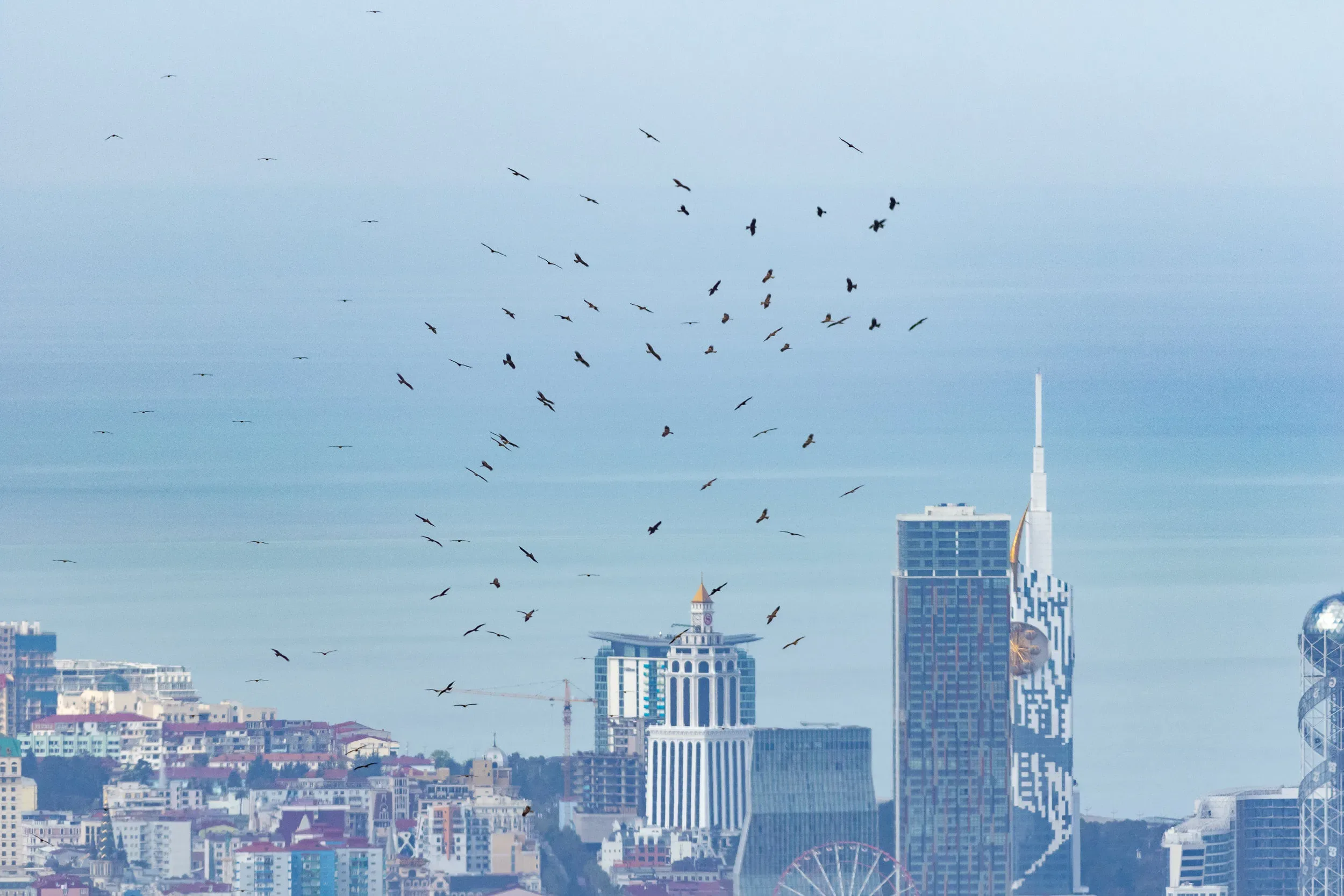 Cover photo of the Spring Report 2019