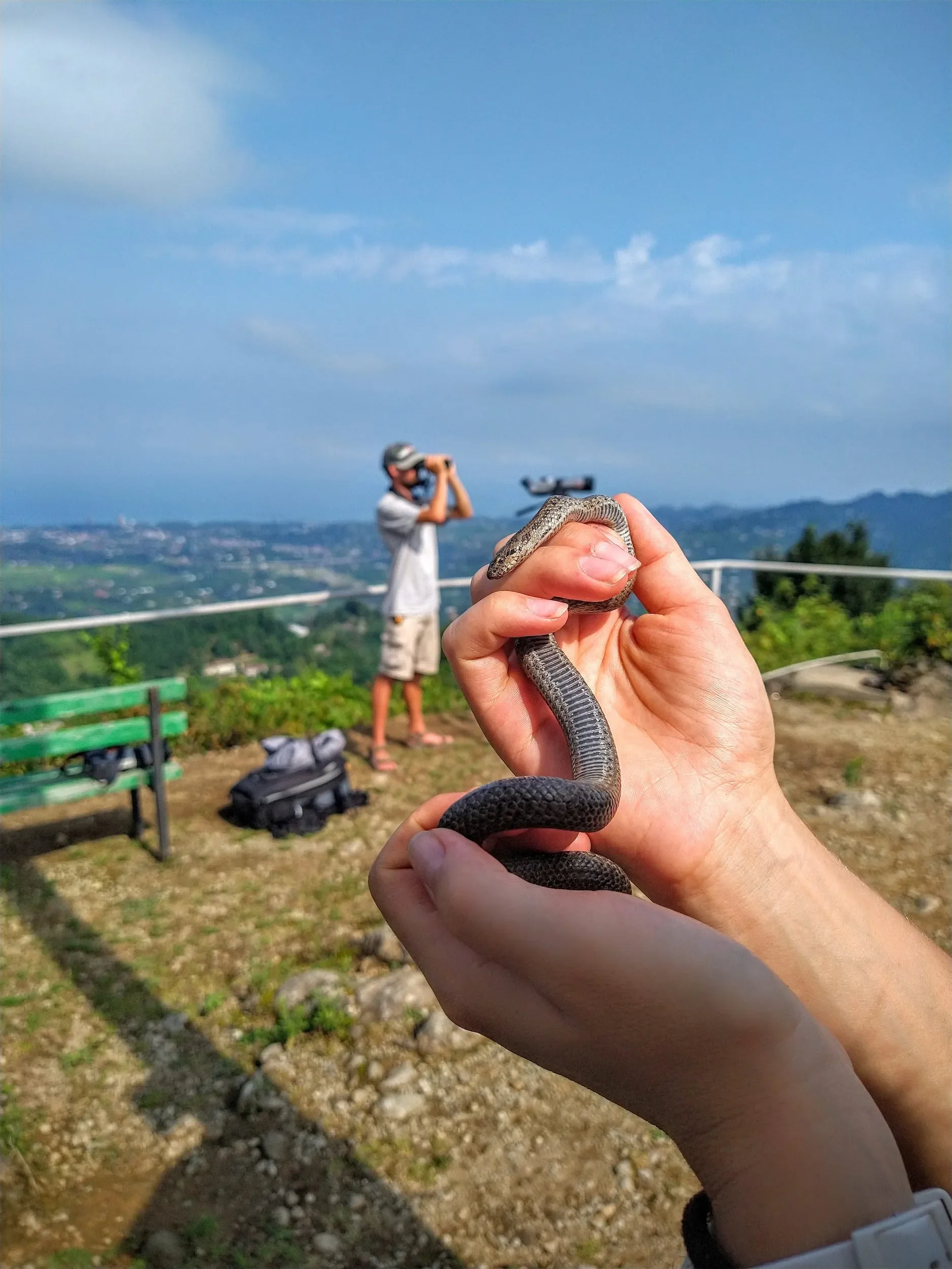 Behind-the-scenes photo from the 2022 Batumi Raptor Count autumn season