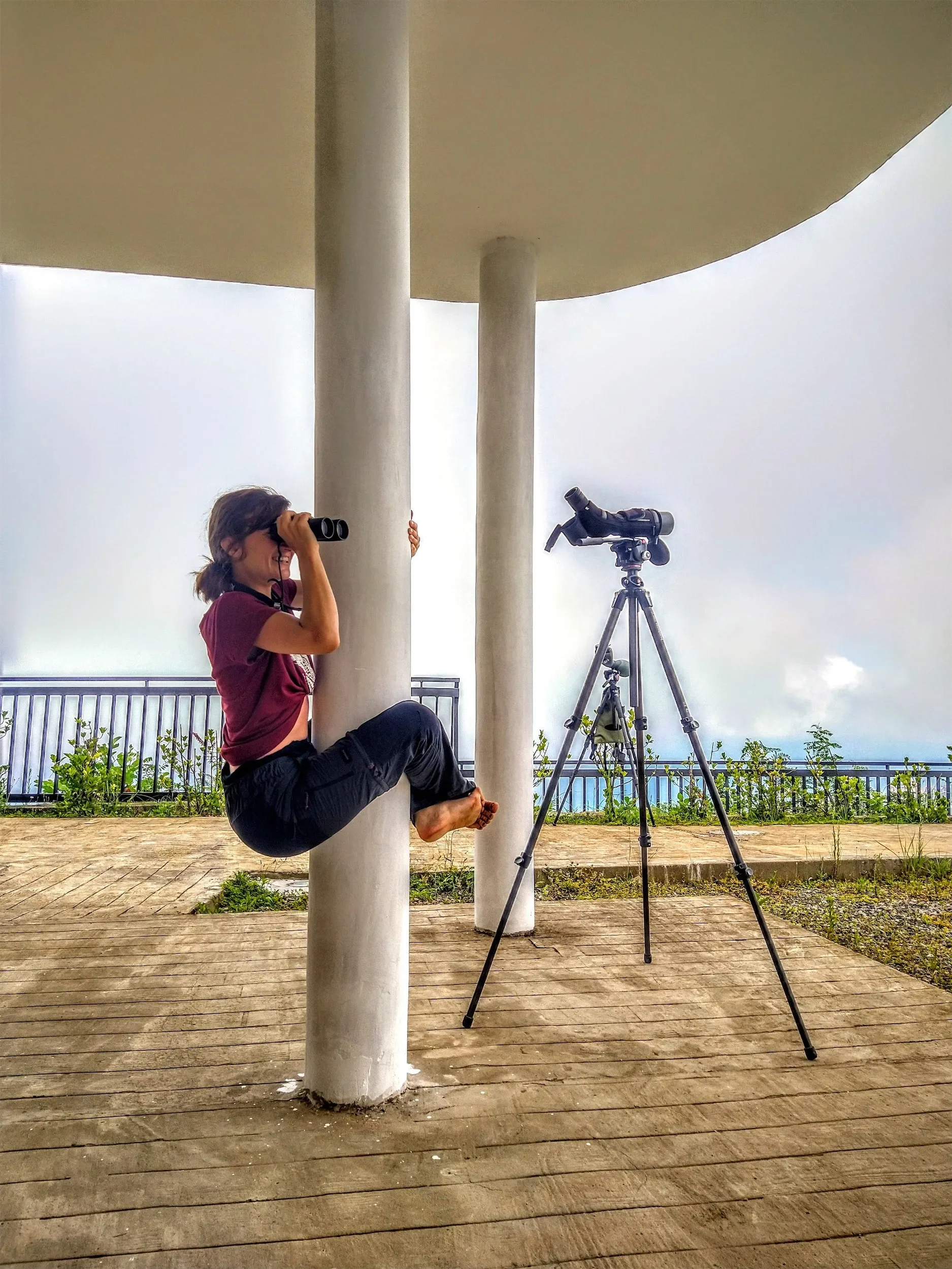Behind-the-scenes photo from the 2022 Batumi Raptor Count autumn season