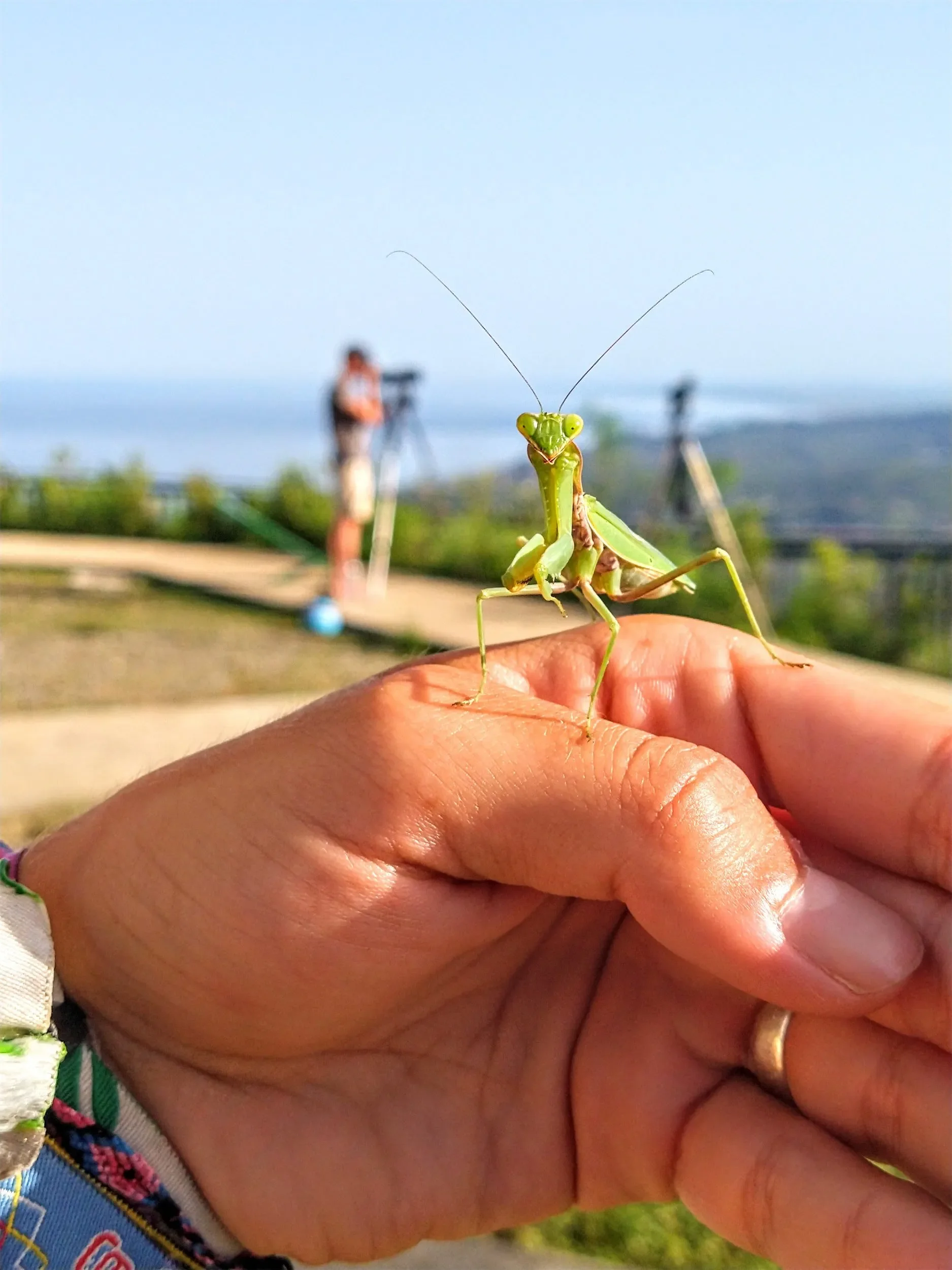 Behind-the-scenes photo from the 2022 Batumi Raptor Count autumn season