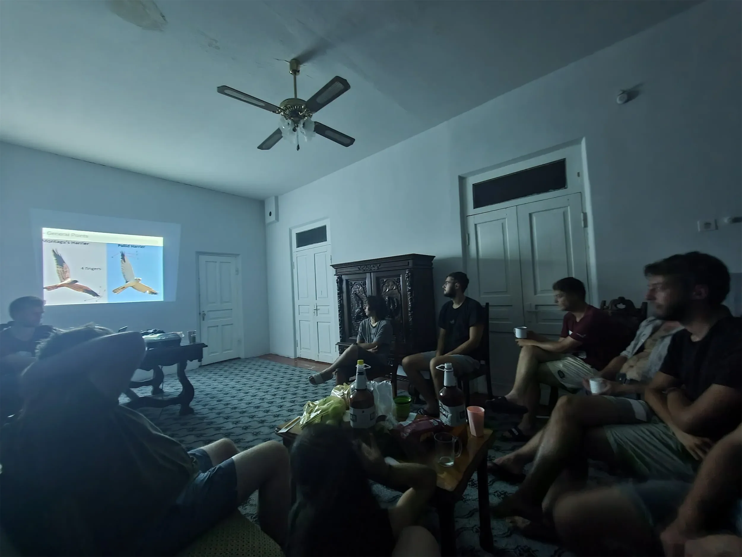 Behind-the-scenes photo from the 2022 Batumi Raptor Count autumn season