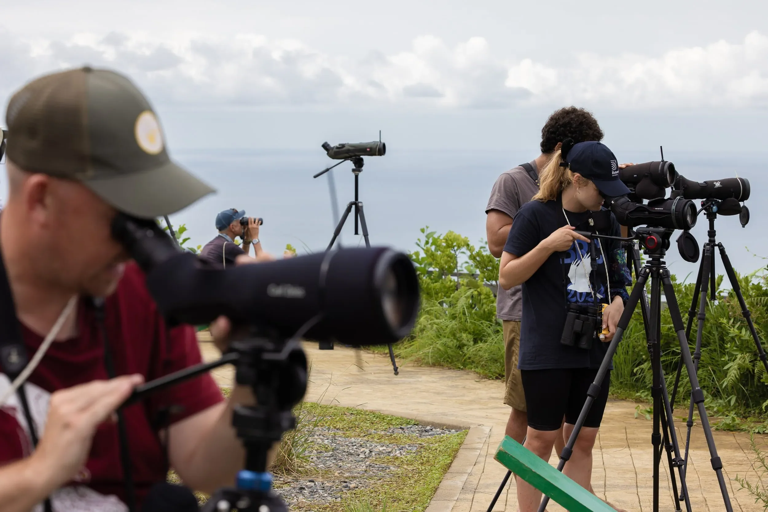 Scopes fixed on the east during the Honey Buzzard period.