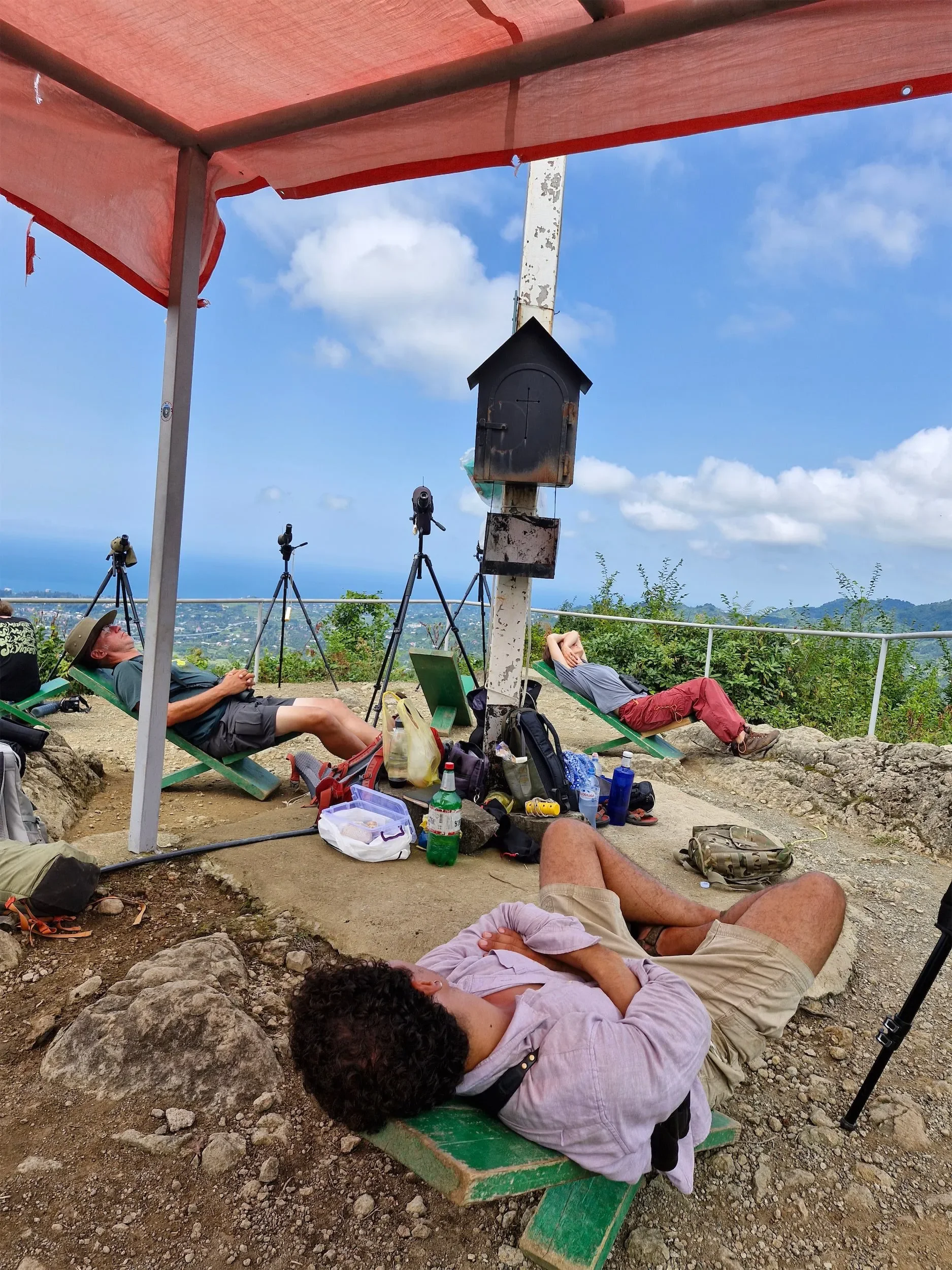 Behind-the-scenes photo from the 2024 Batumi Raptor Count autumn season
