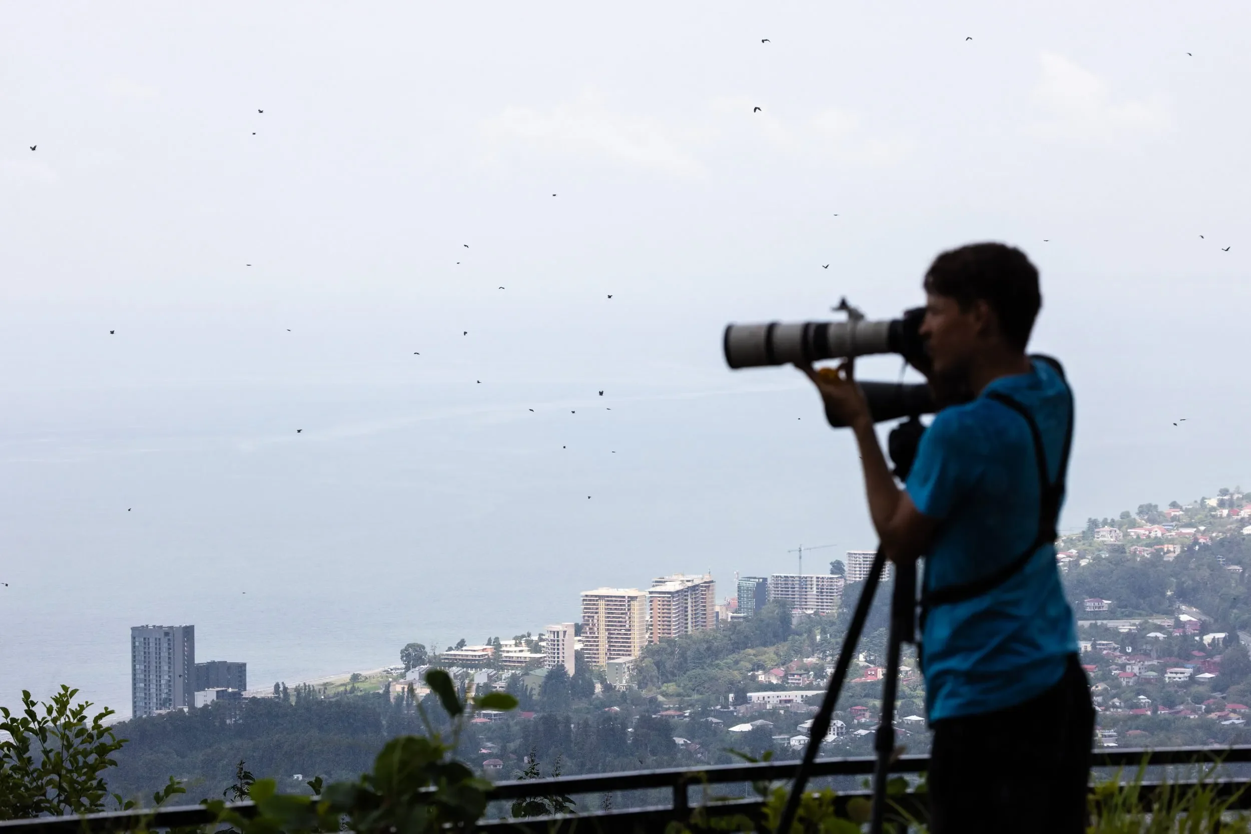 Rain pushes the Honey Buzzards down towards eye level.