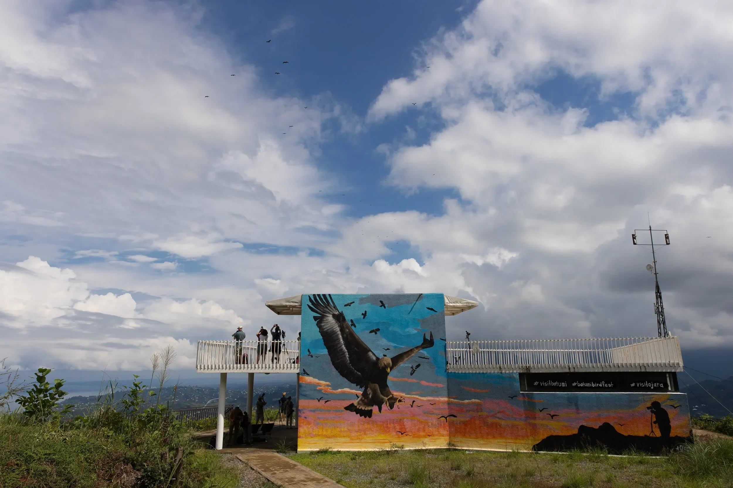 Birders scan the sky from the Station 1 observatory as a stream of Honey Buzzards crosses overhead