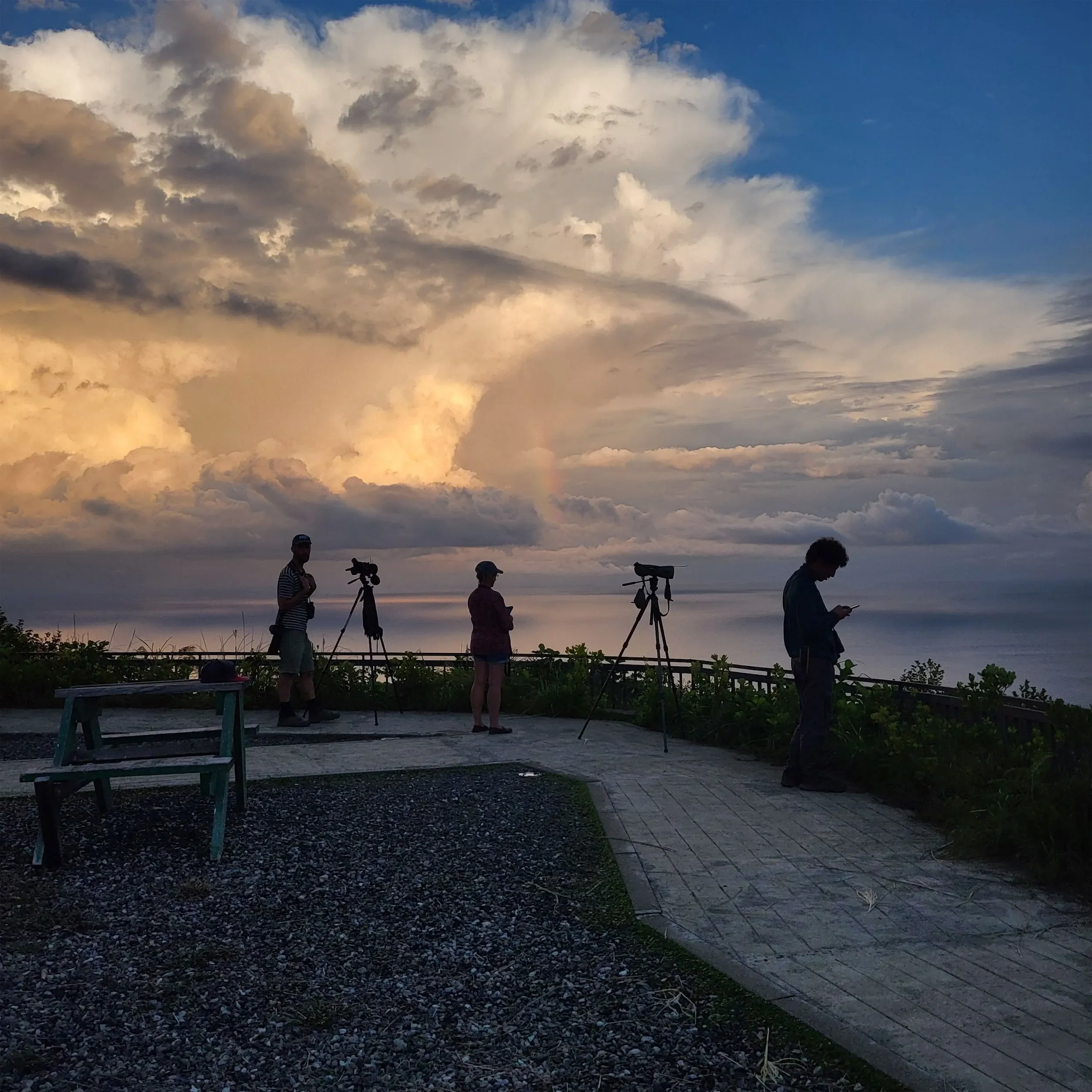 Behind-the-scenes photo from the 2024 Batumi Raptor Count autumn season