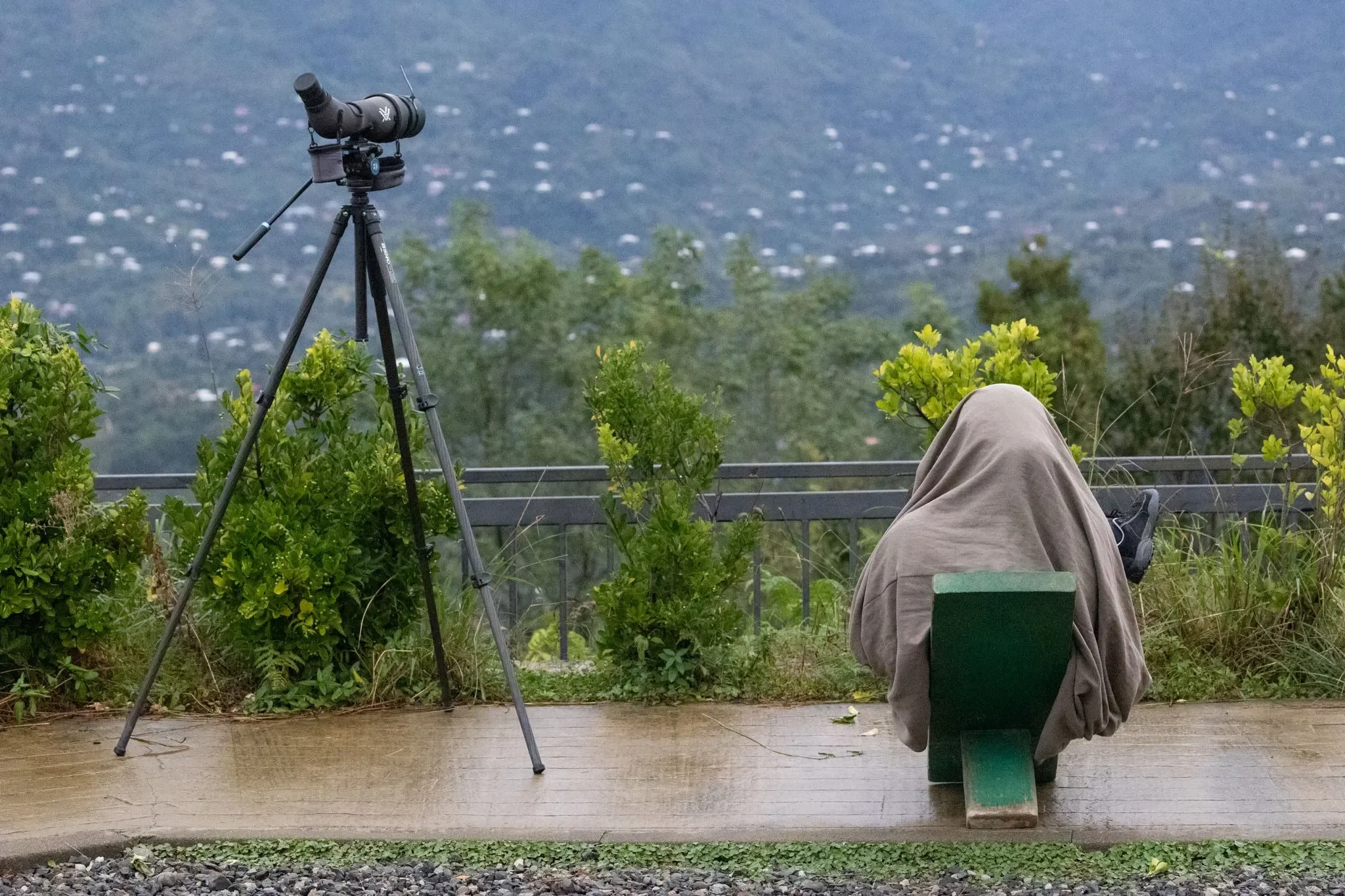 Waiting for the rain to stop and the missing Black Kites and Steppe Buzzards to appear.