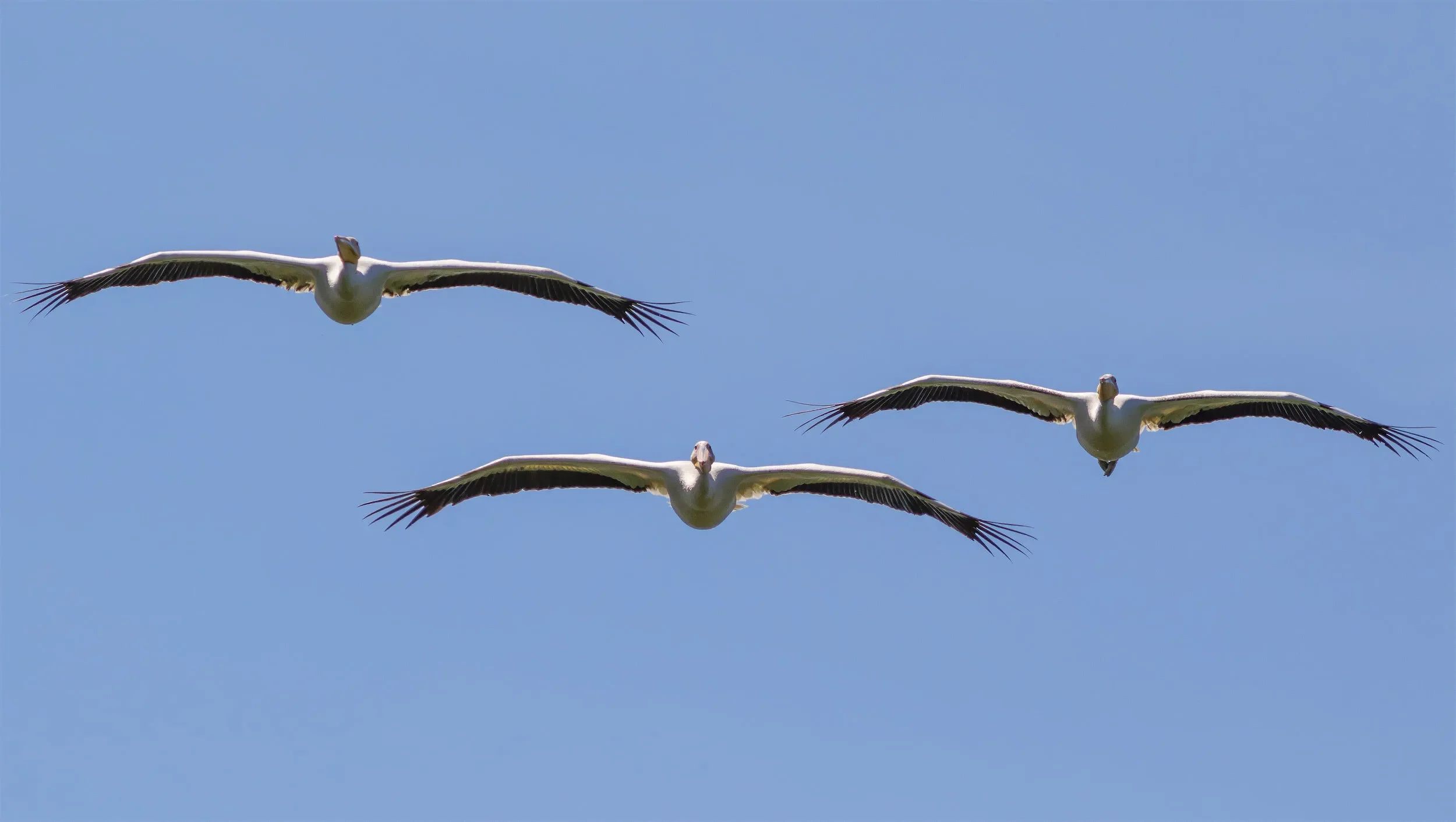 Airplanes incoming!
