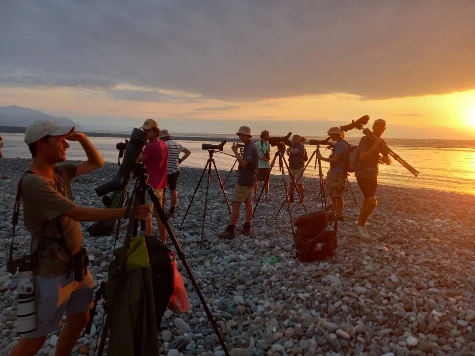 Counters celebrating after twitching the Three-banded Plover in the Chorokhi Delta