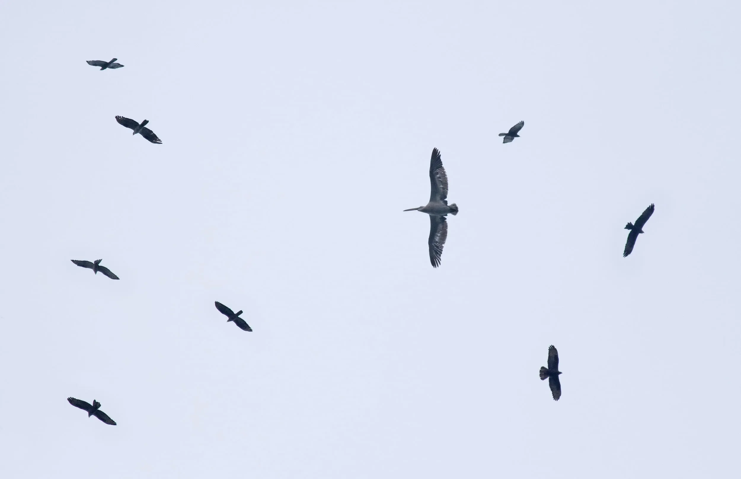 Cover photo of the Autumn Report 2016