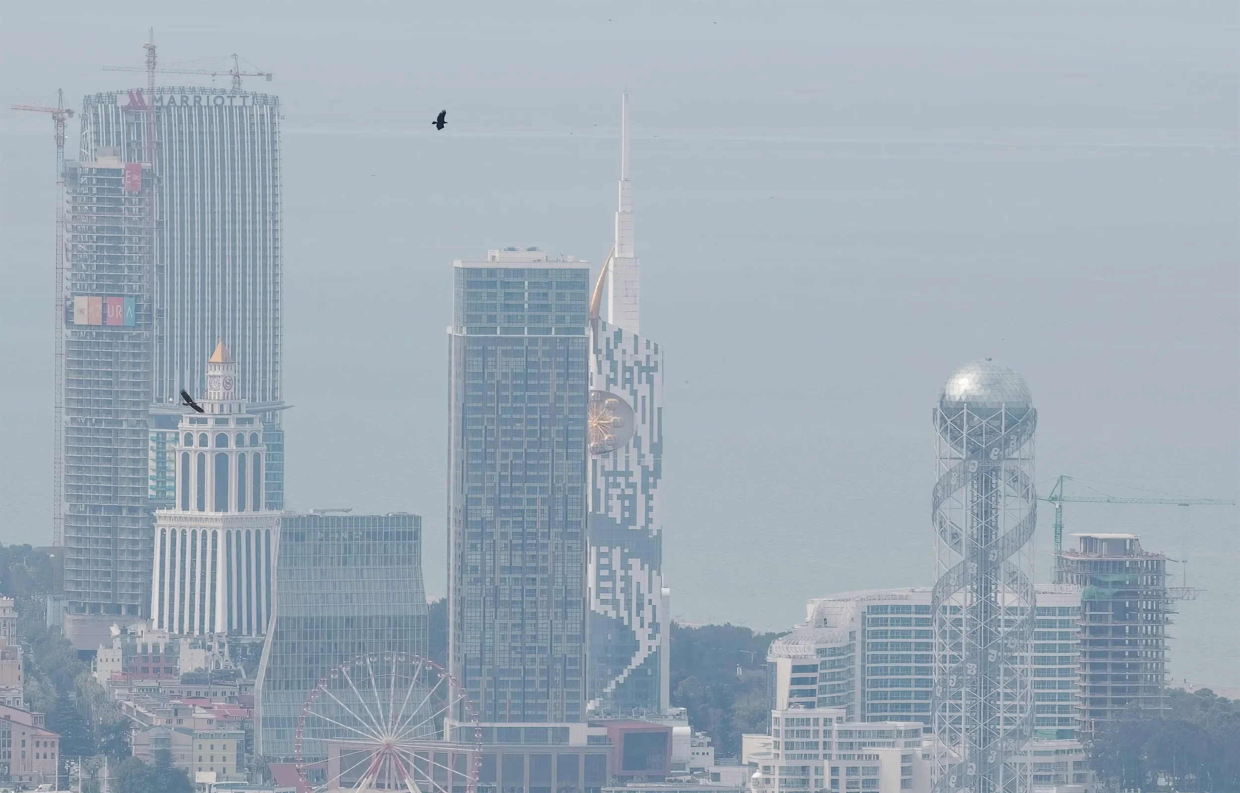 Two adult Imperial Eagles in front of the Batumi skyline