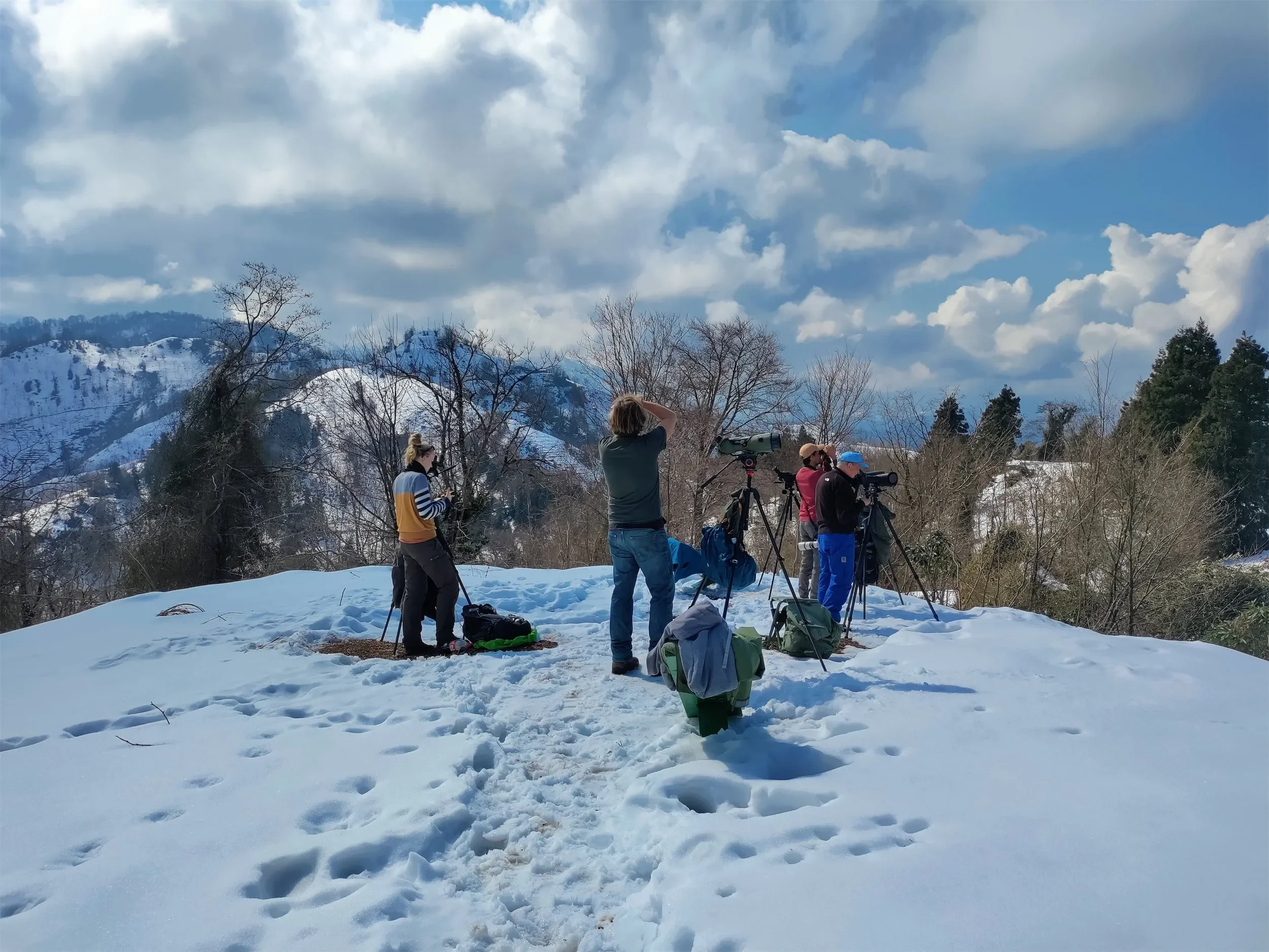 A counter scanning for raptors in bright sunshine over fresh snow