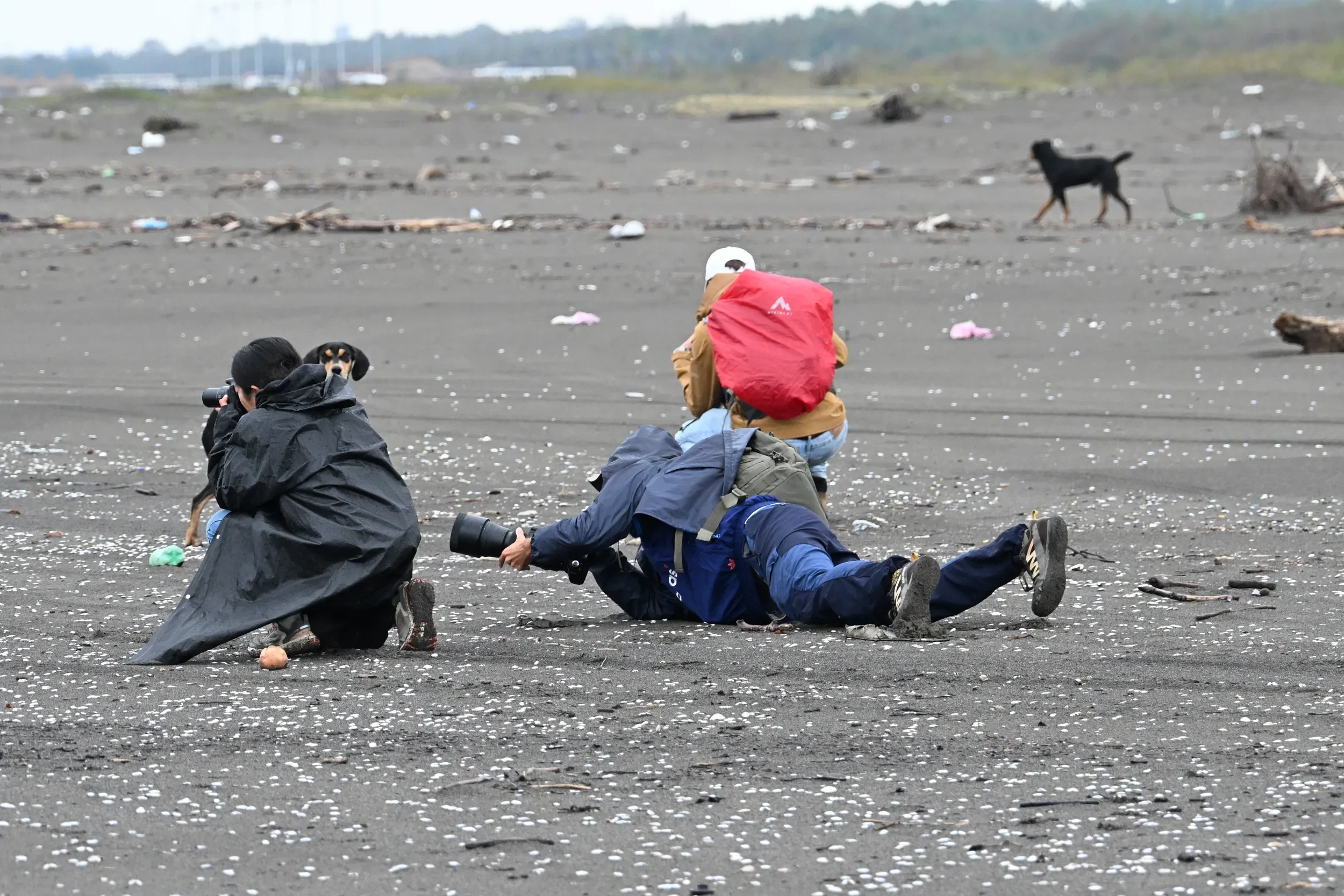Behind-the-scenes photo from the 2025 Batumi Raptor Count autumn season