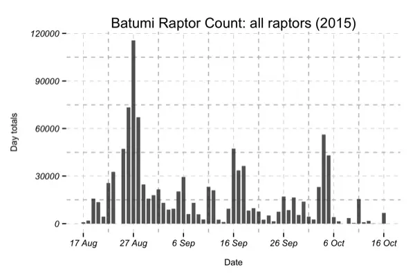 Figure 1: Autumn 2015 migration phenology of all raptors.