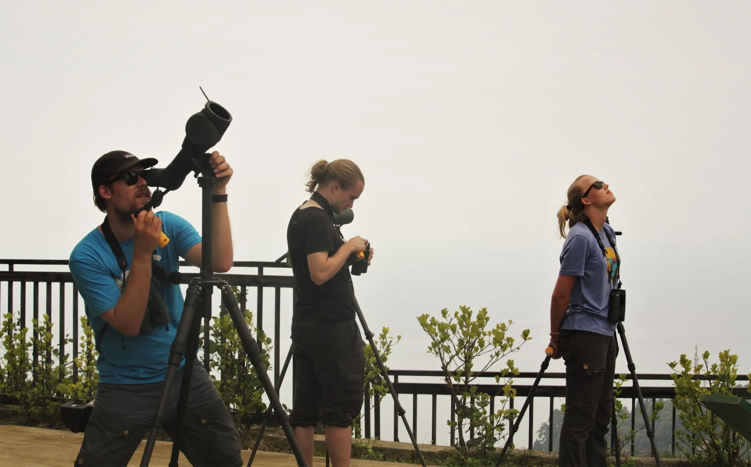 Behind-the-scenes photo from the 2021 Batumi Raptor Count autumn season
