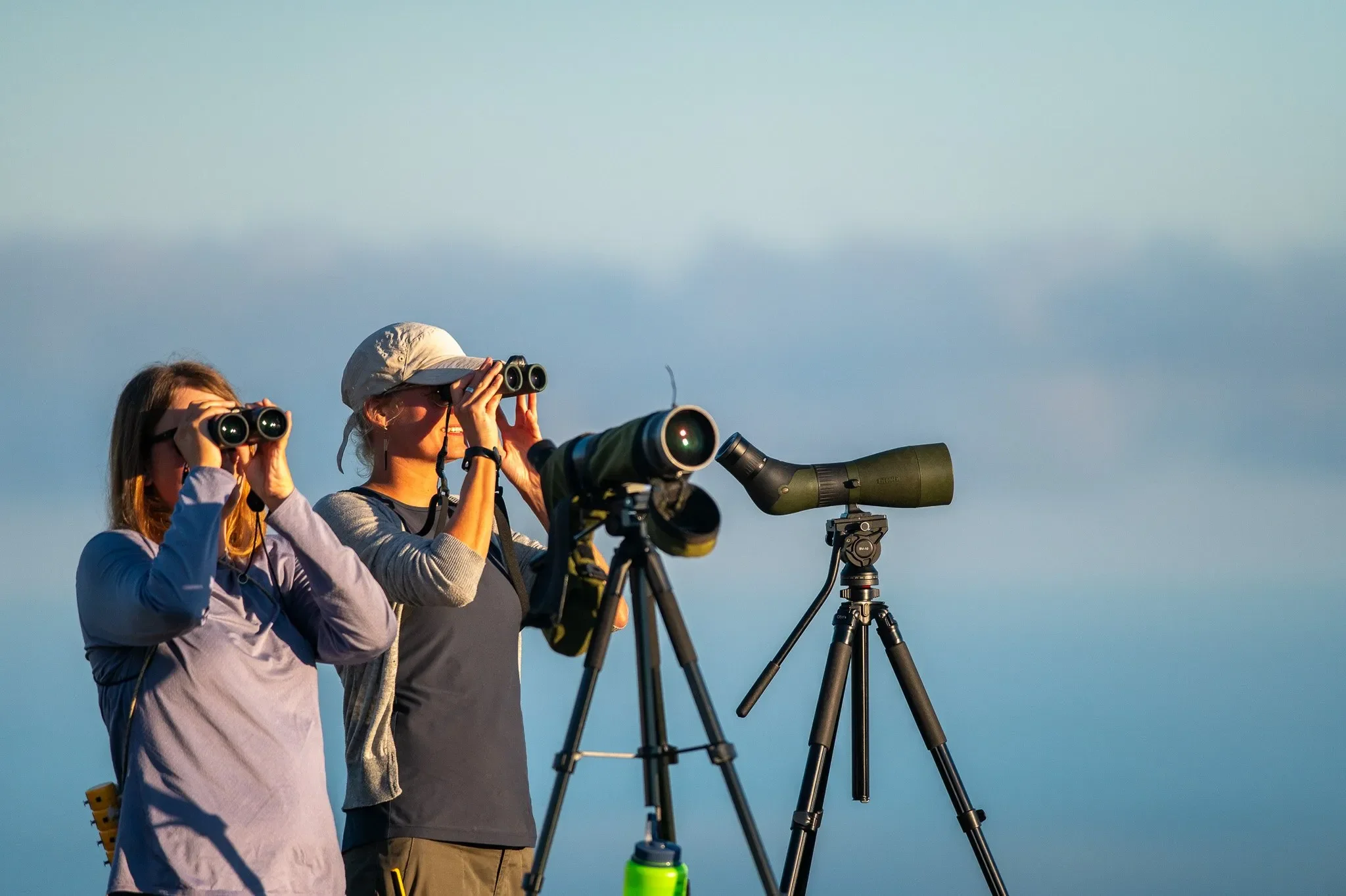 A counter scans the skies over the bottleneck for raptors