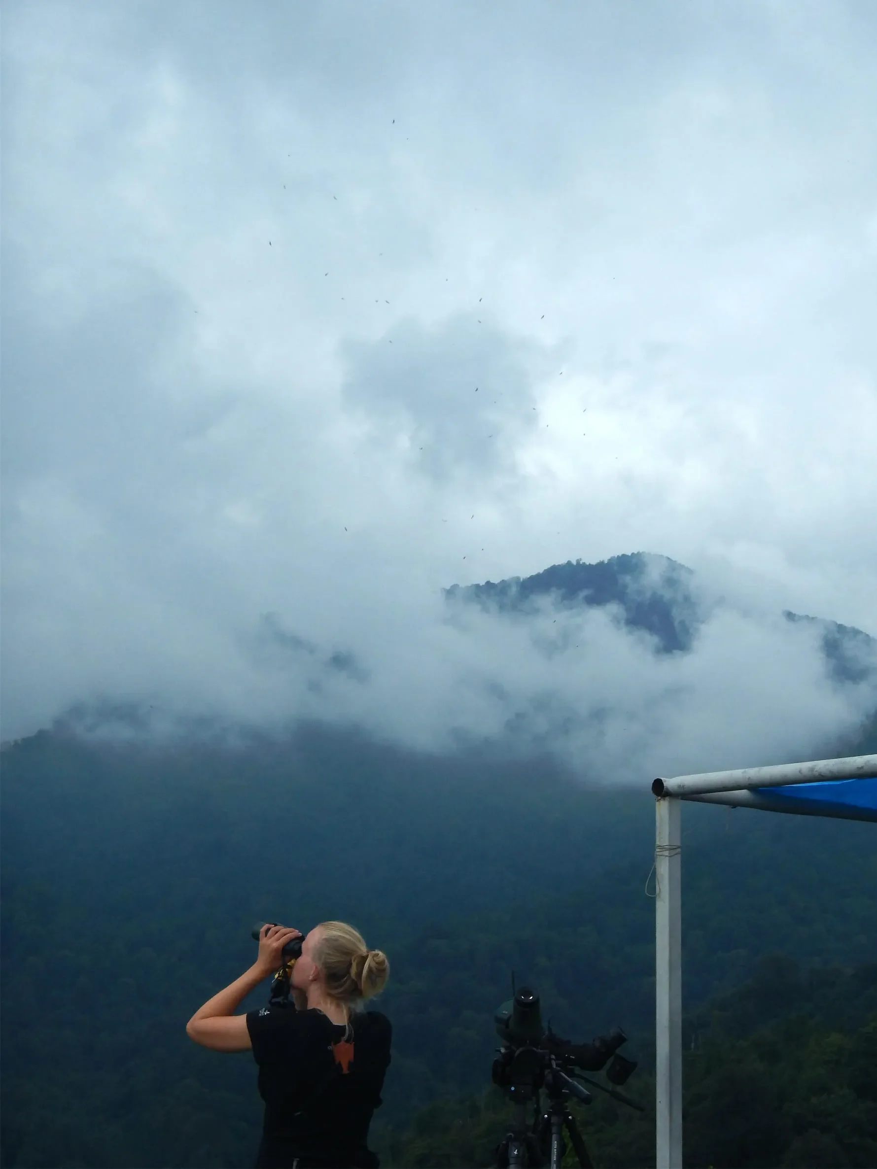 Behind-the-scenes photo from the 2019 Batumi Raptor Count autumn season