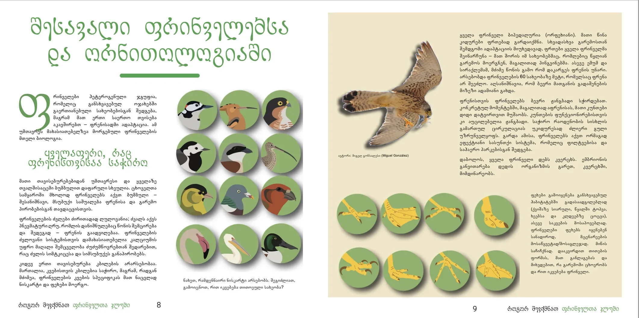 Two illustrated pages from the educational booklet