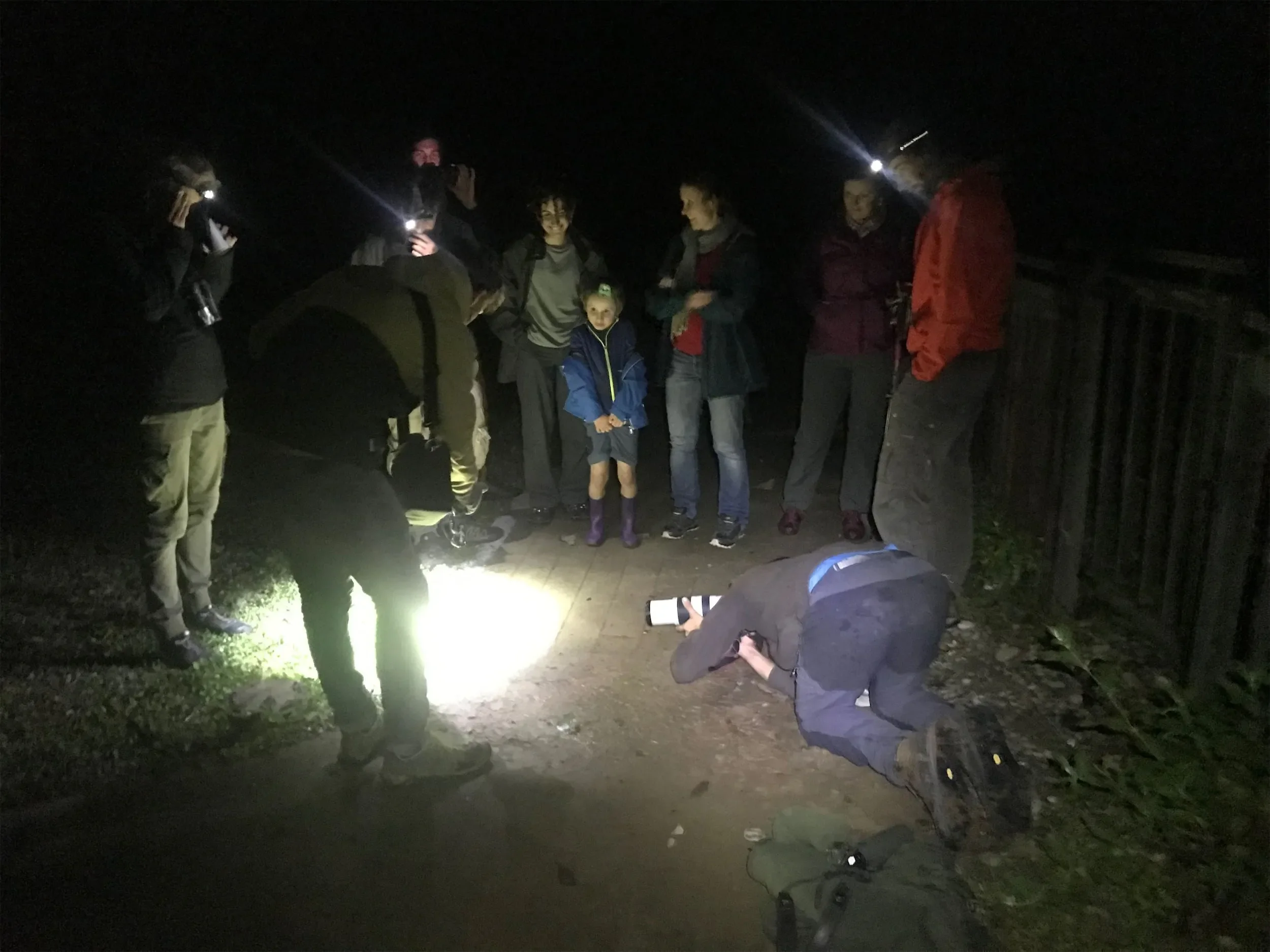 Behind-the-scenes photo from the 2021 Batumi Raptor Count autumn season