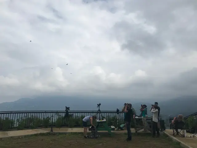 Behind-the-scenes photo from the 2019 Batumi Raptor Count autumn season