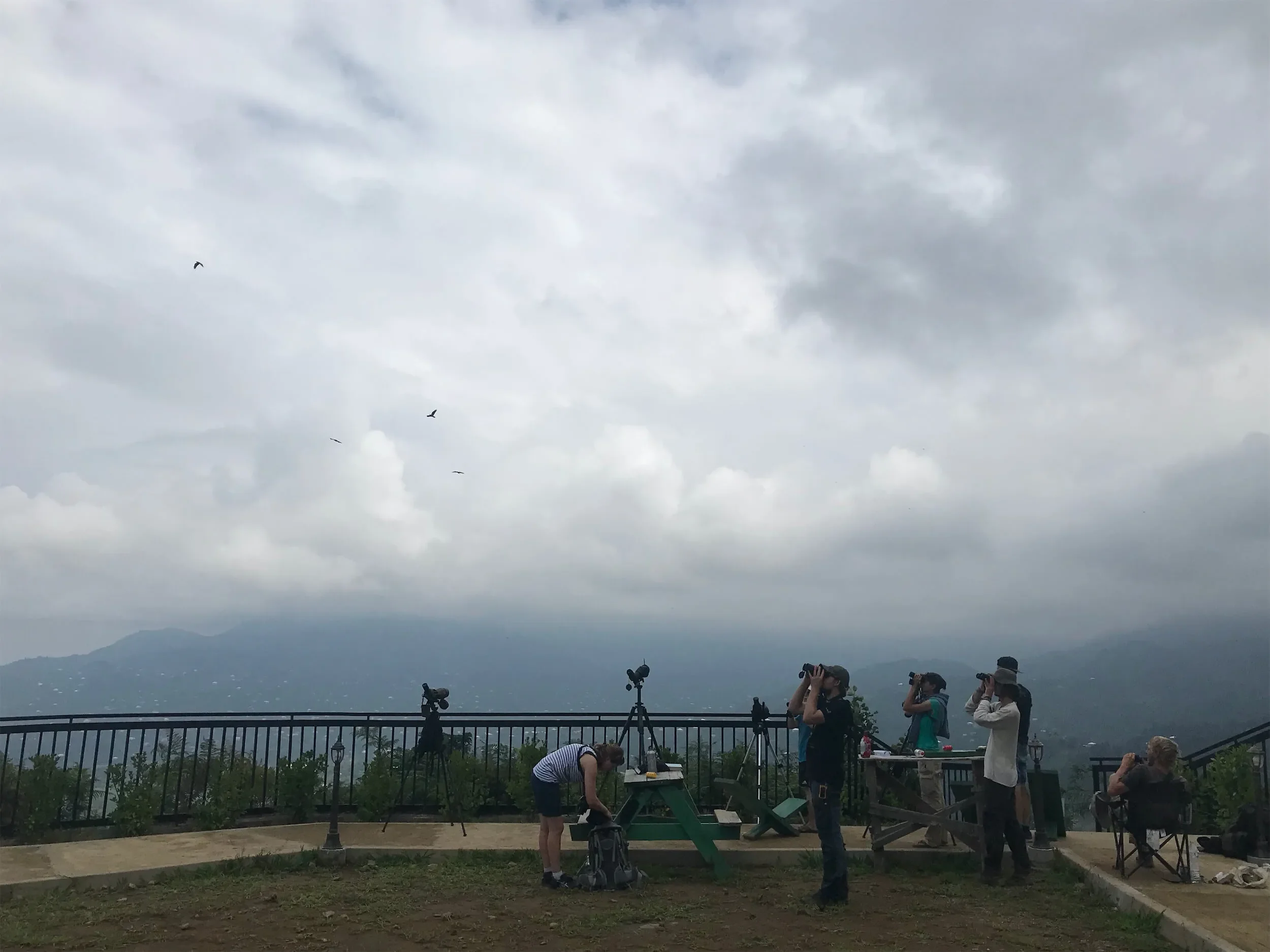 Behind-the-scenes photo from the 2019 Batumi Raptor Count autumn season