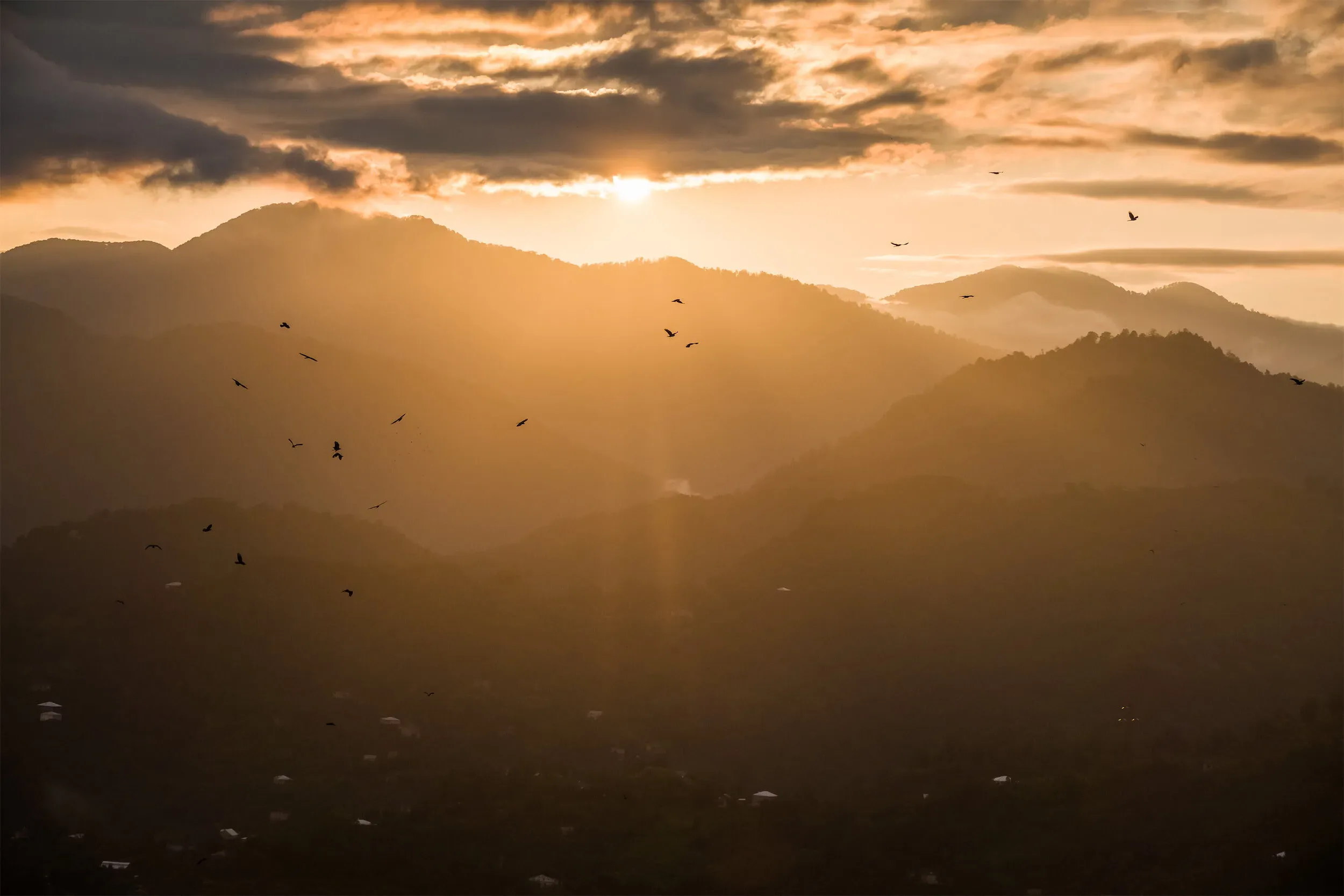 Cover photo of the Autumn Report 2019