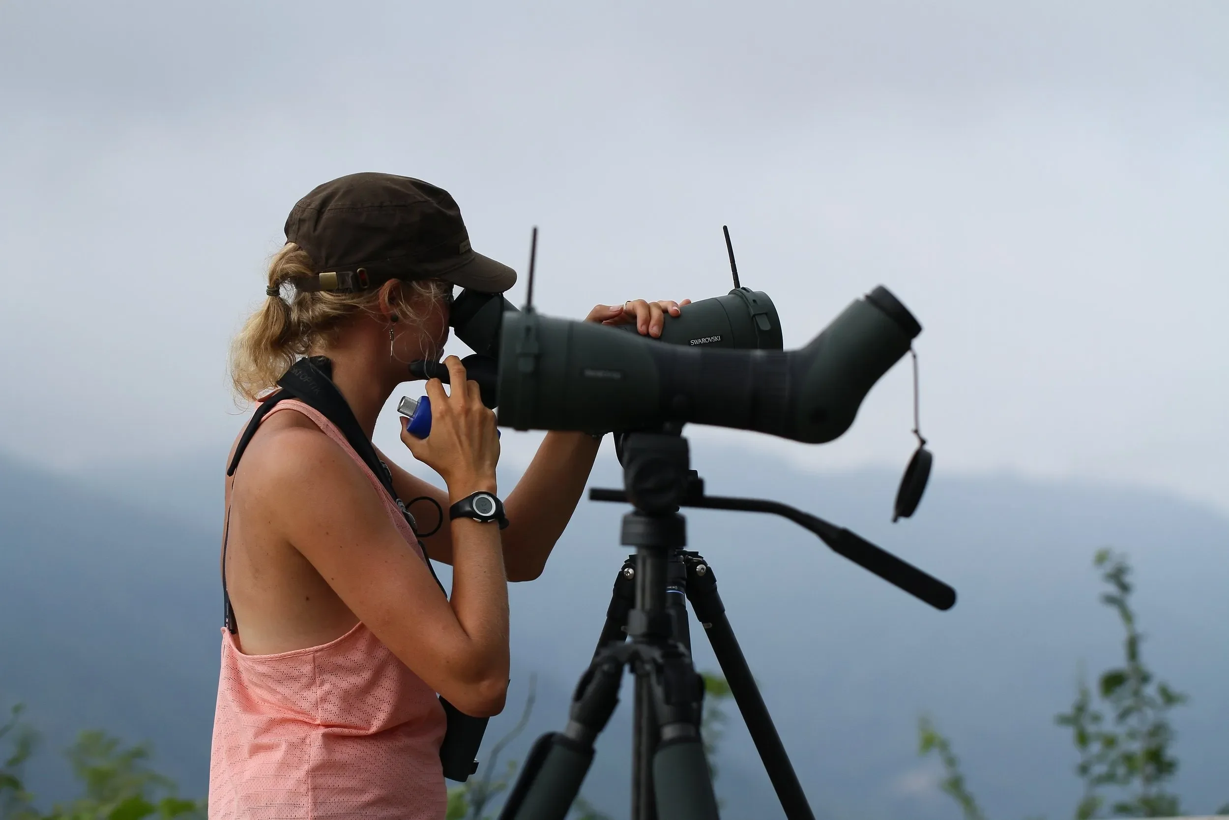 Behind-the-scenes photo from the 2023 Batumi Raptor Count autumn season