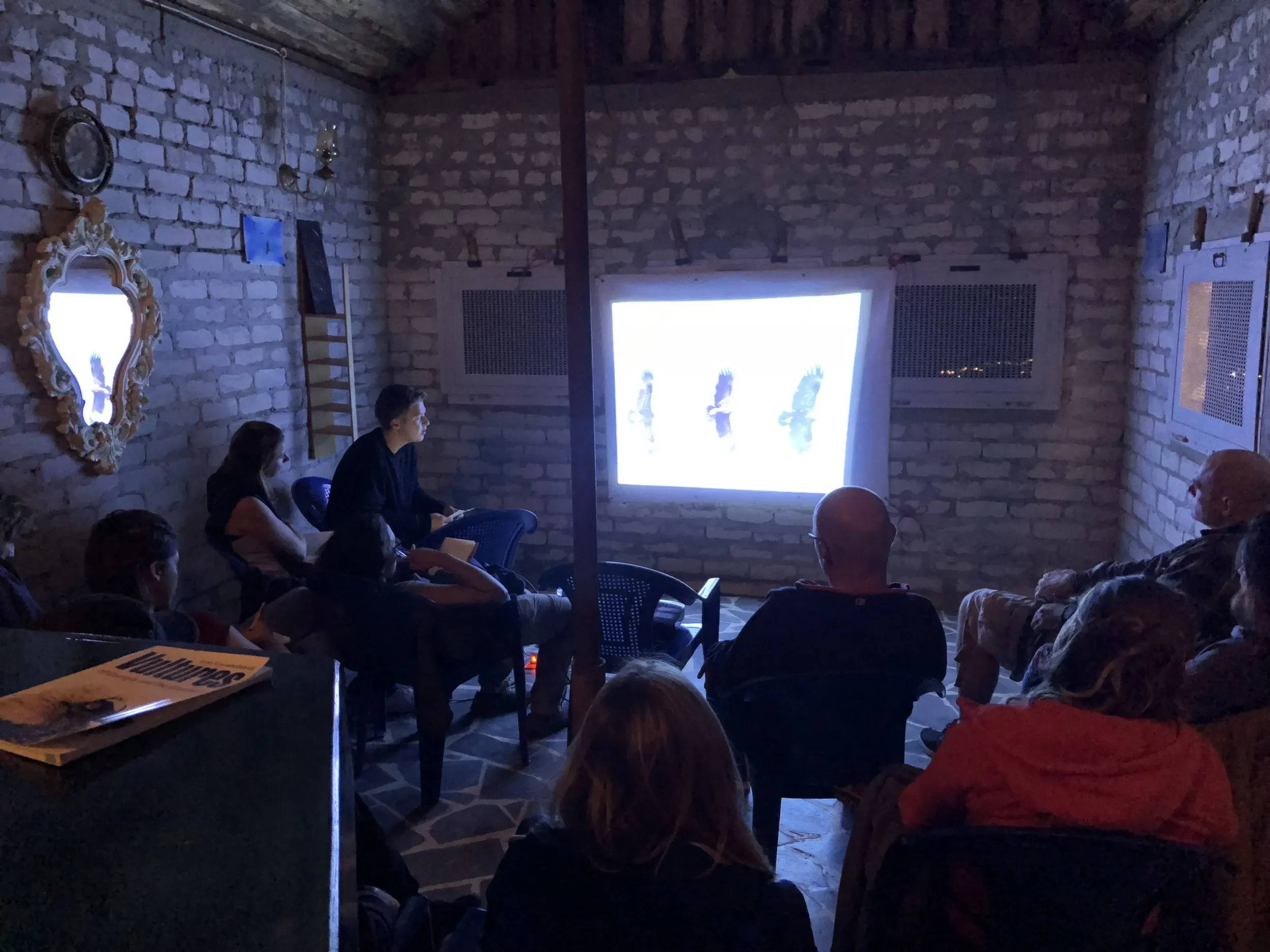 Eagle identification presentations in the evenings