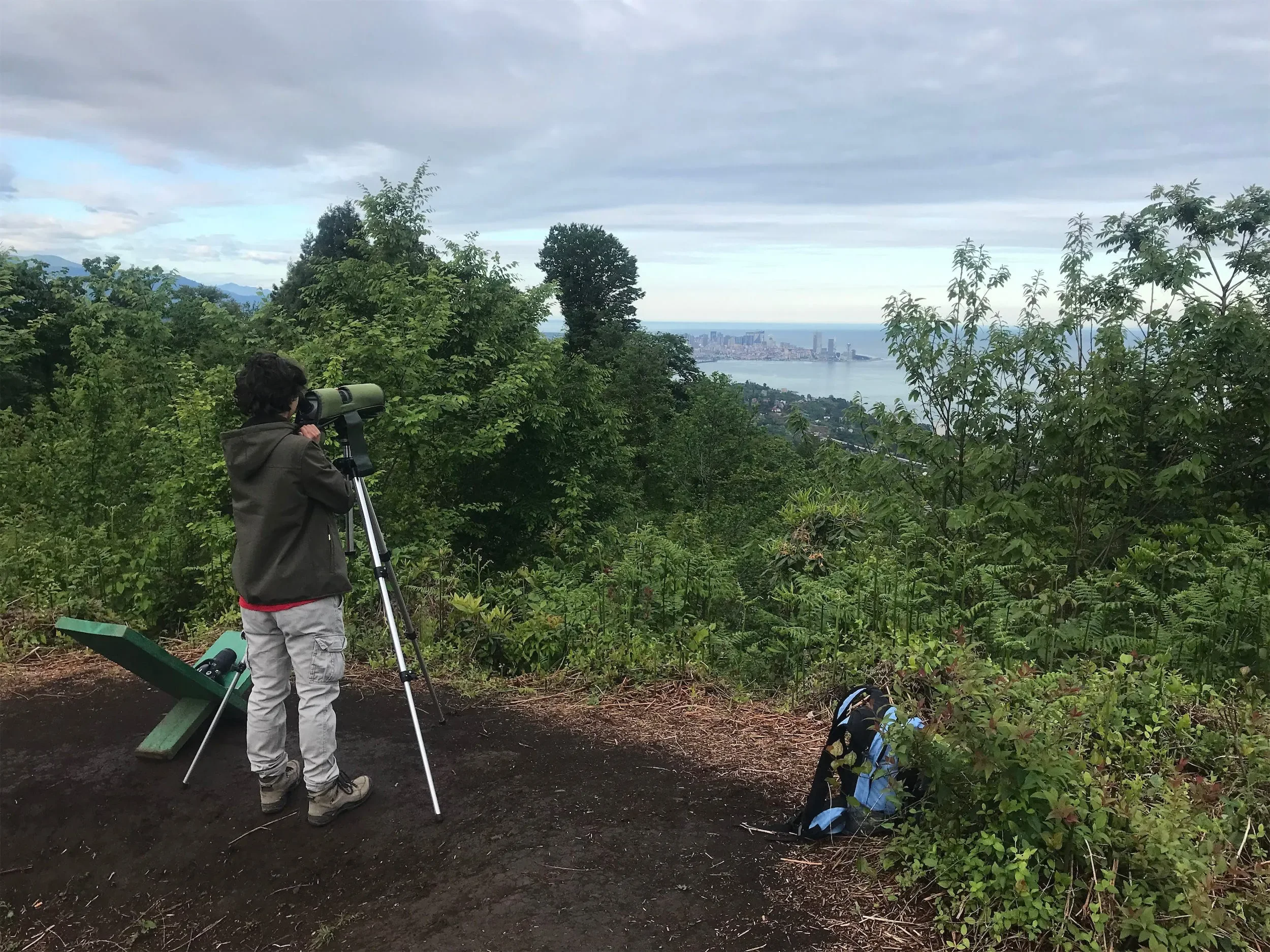 One of our Georgian counters counting Honey Buzzard streams in the west