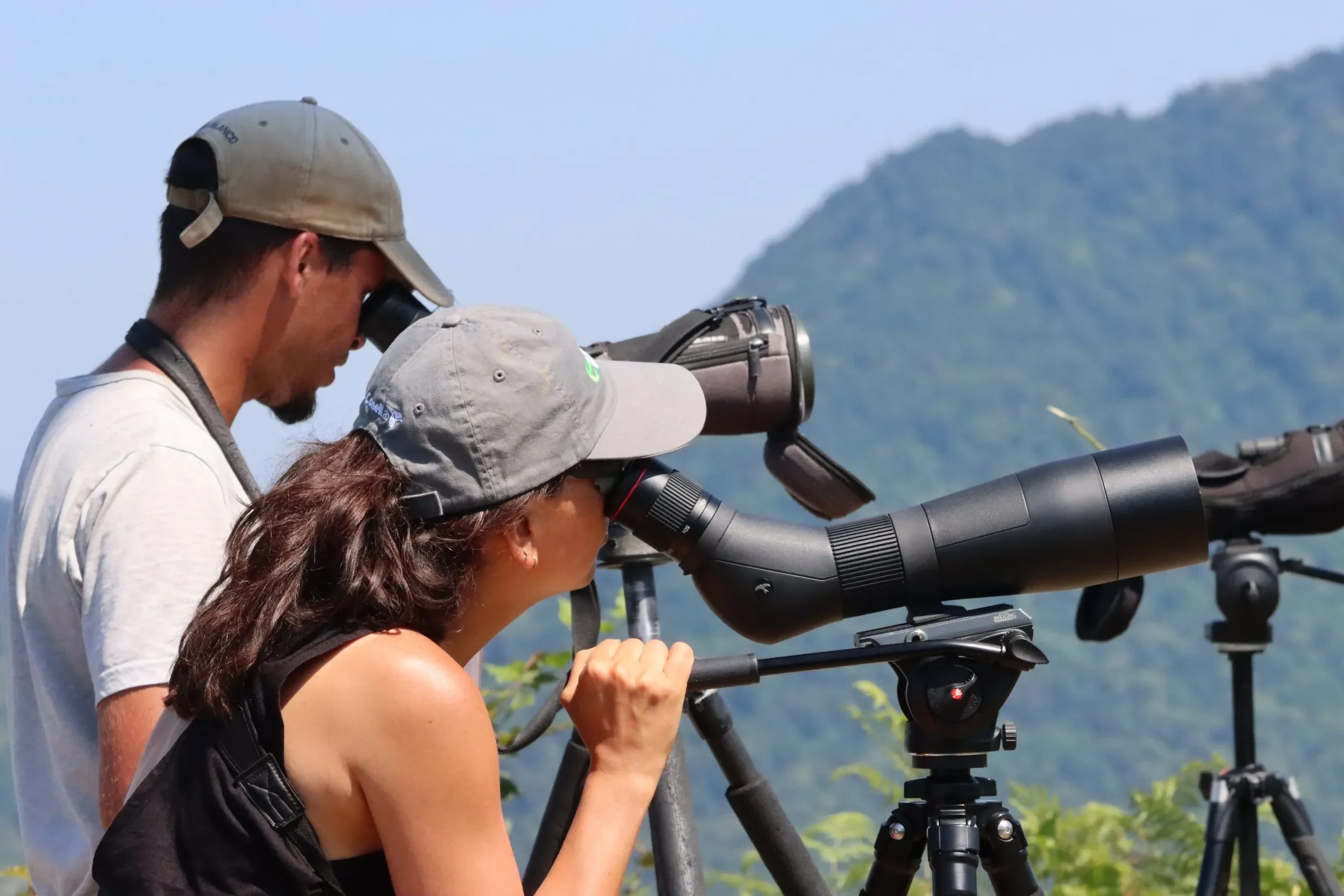 Behind-the-scenes photo from the 2025 Batumi Raptor Count autumn season