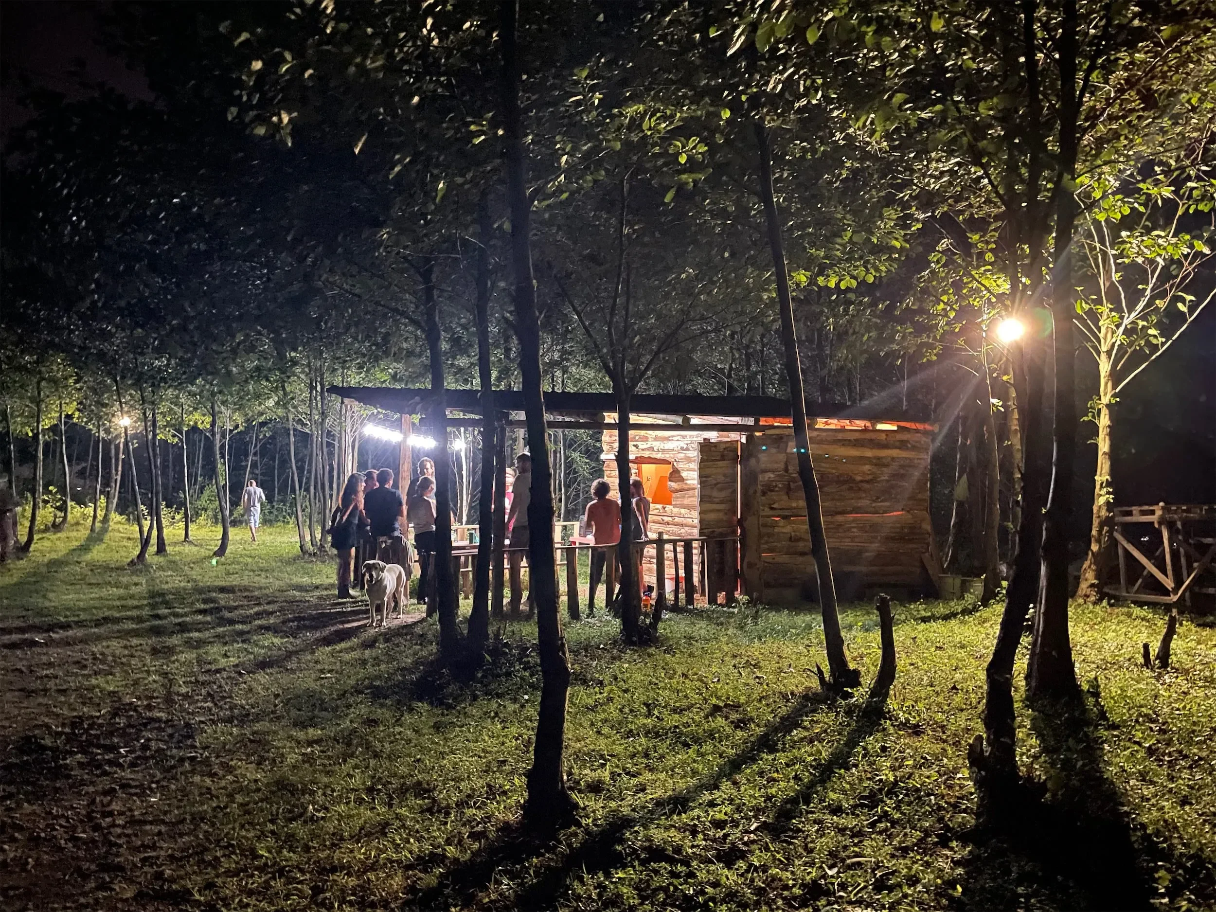 Behind-the-scenes photo from the 2022 Batumi Raptor Count autumn season