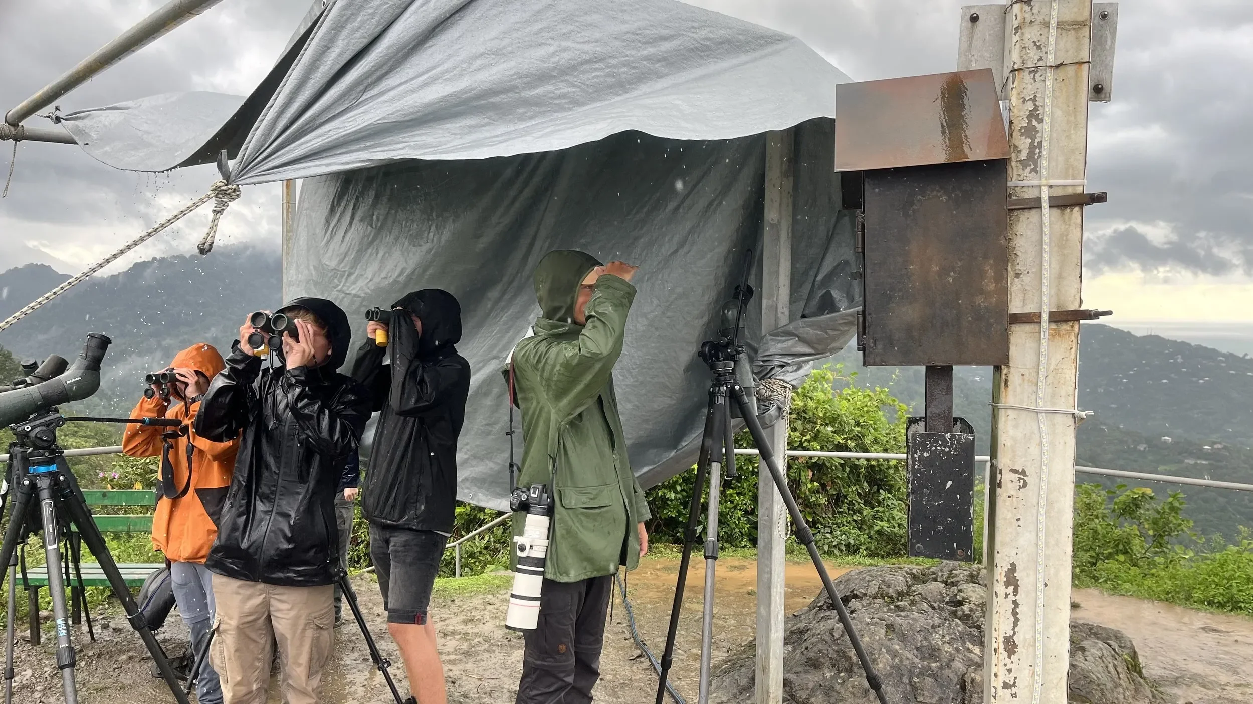 Behind-the-scenes photo from the 2023 Batumi Raptor Count autumn season