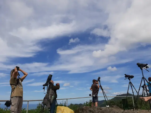 Behind-the-scenes photo from the 2021 Batumi Raptor Count autumn season