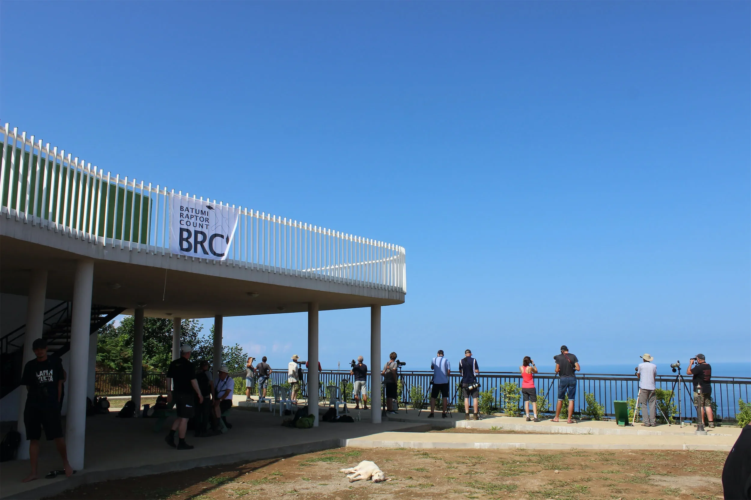 Behind-the-scenes photo from the 2019 Batumi Raptor Count autumn season