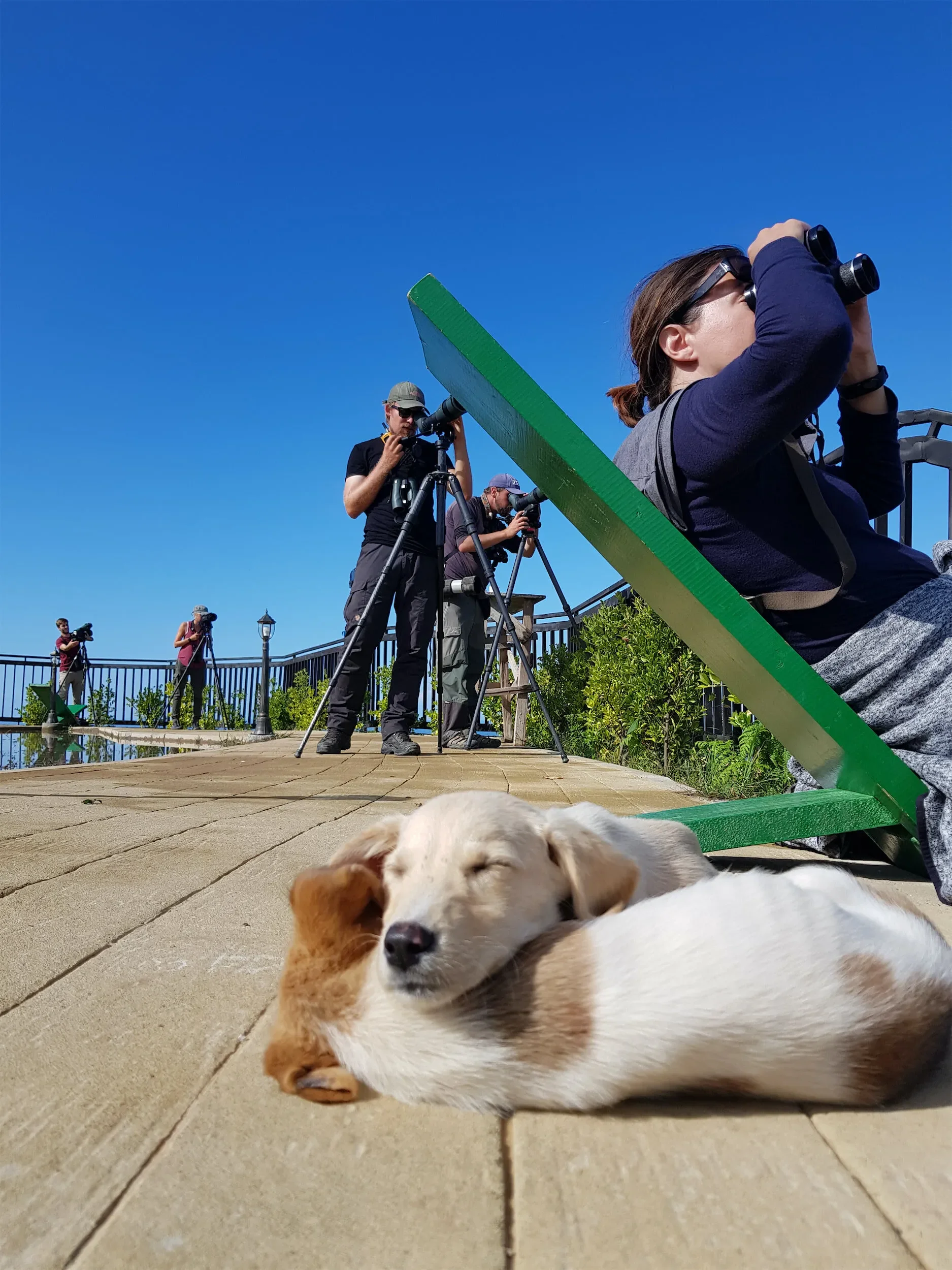 Behind-the-scenes photo from the 2019 Batumi Raptor Count autumn season