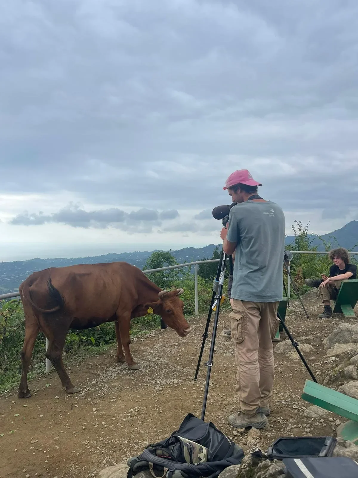 Behind-the-scenes photo from the 2024 Batumi Raptor Count autumn season