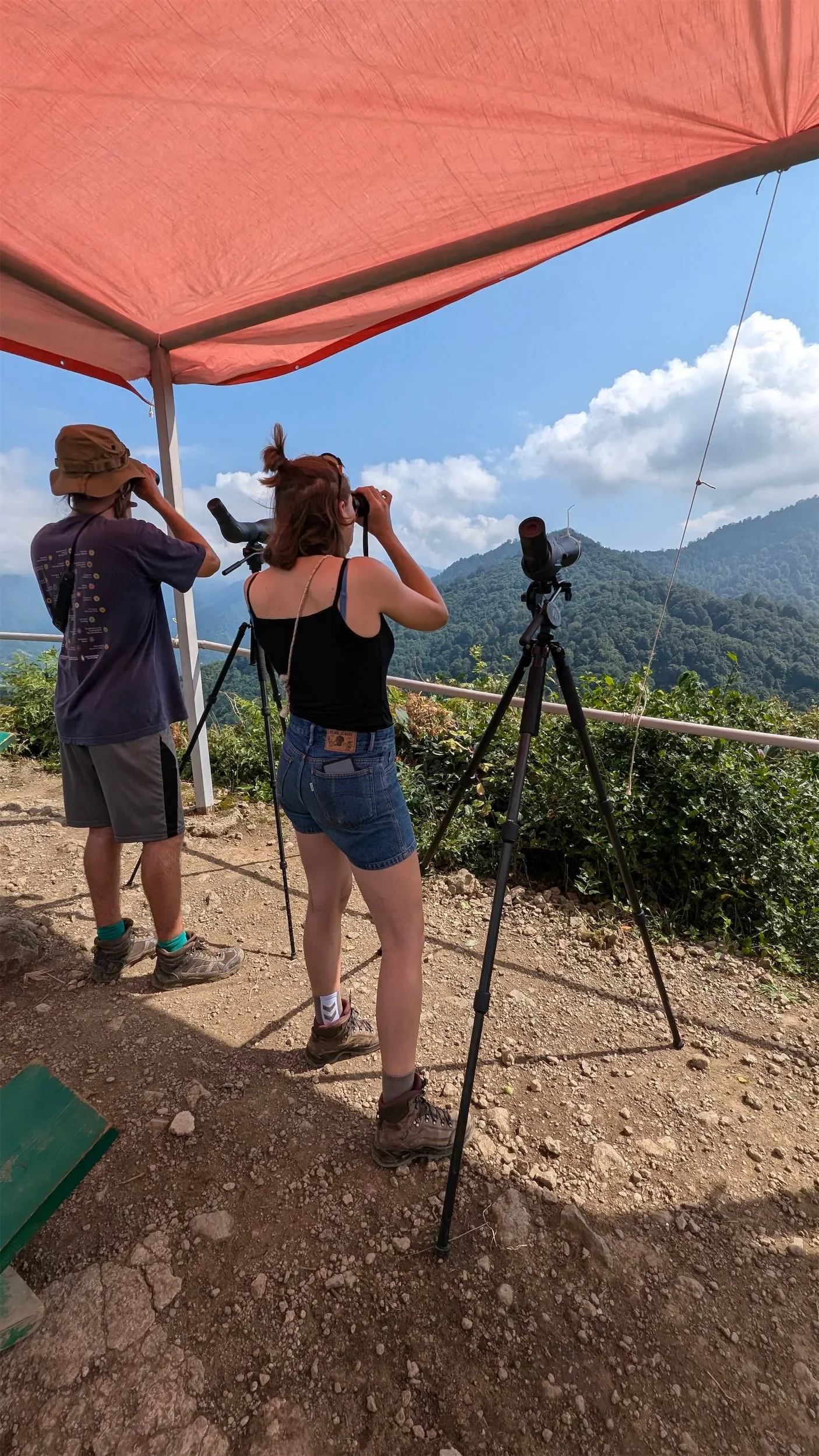 Behind-the-scenes photo from the 2024 Batumi Raptor Count autumn season