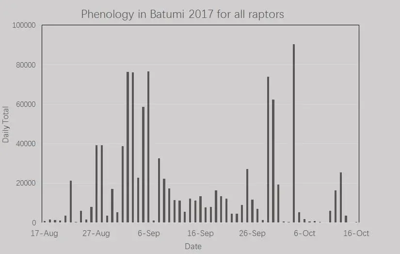 Chart showing the 2017 raptor migration phenology for all species combined