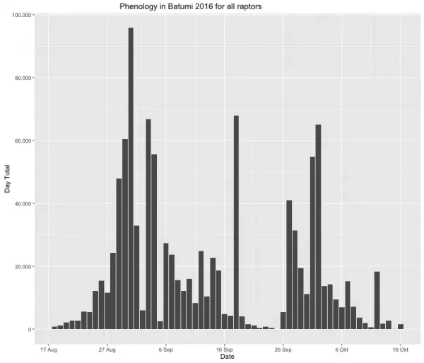 Chart showing the 2016 raptor migration phenology for all species combined