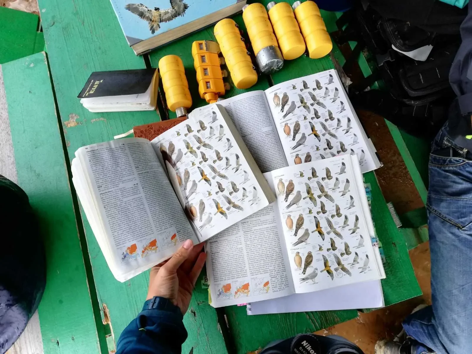 BRC is: bird guides in many different languages