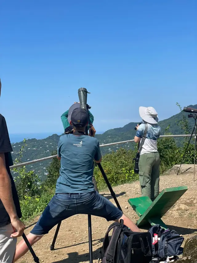 Behind-the-scenes photo from the 2023 Batumi Raptor Count autumn season