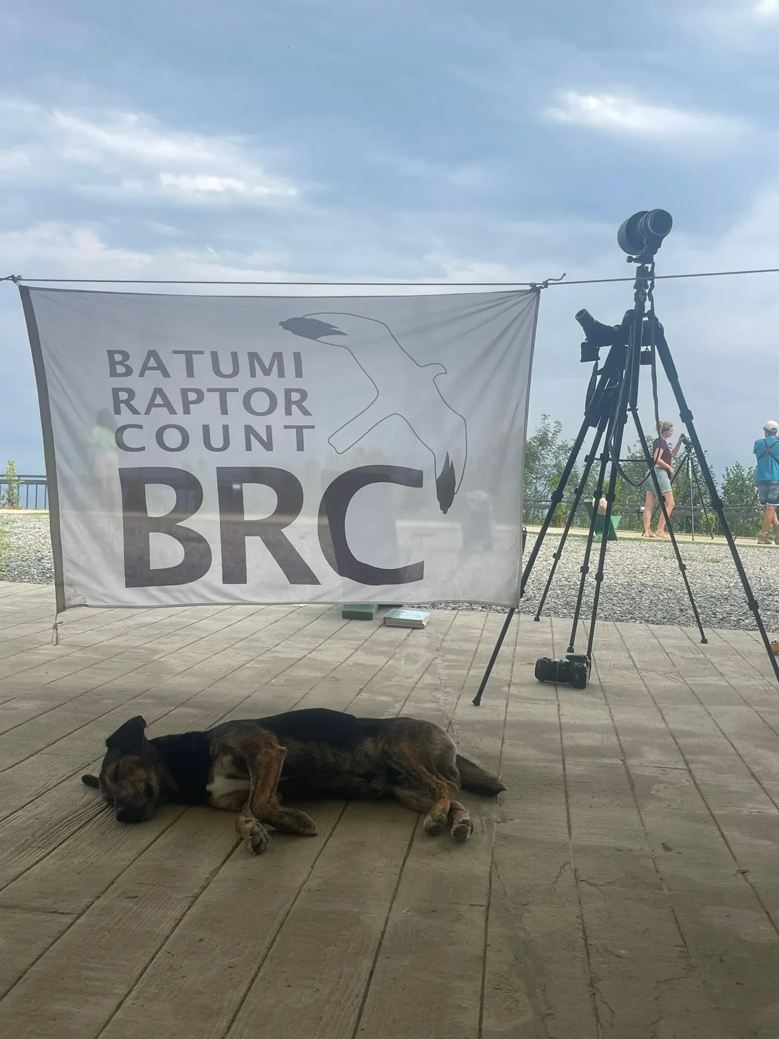 Behind-the-scenes photo from the 2023 Batumi Raptor Count autumn season