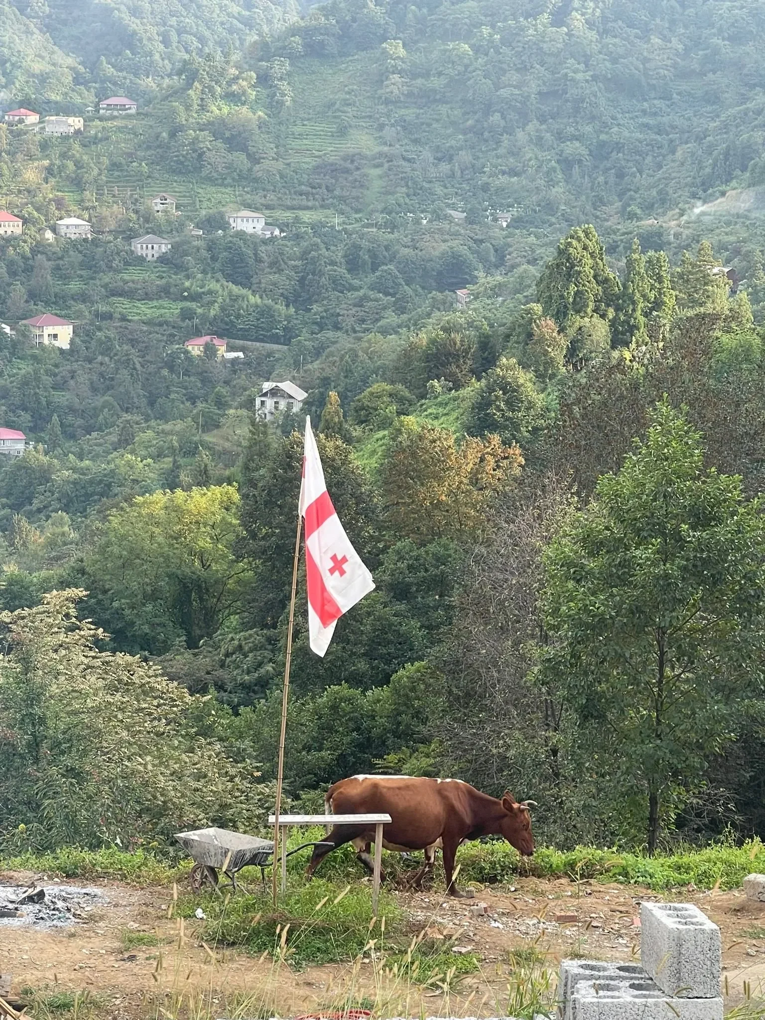 Behind-the-scenes photo from the 2023 Batumi Raptor Count autumn season