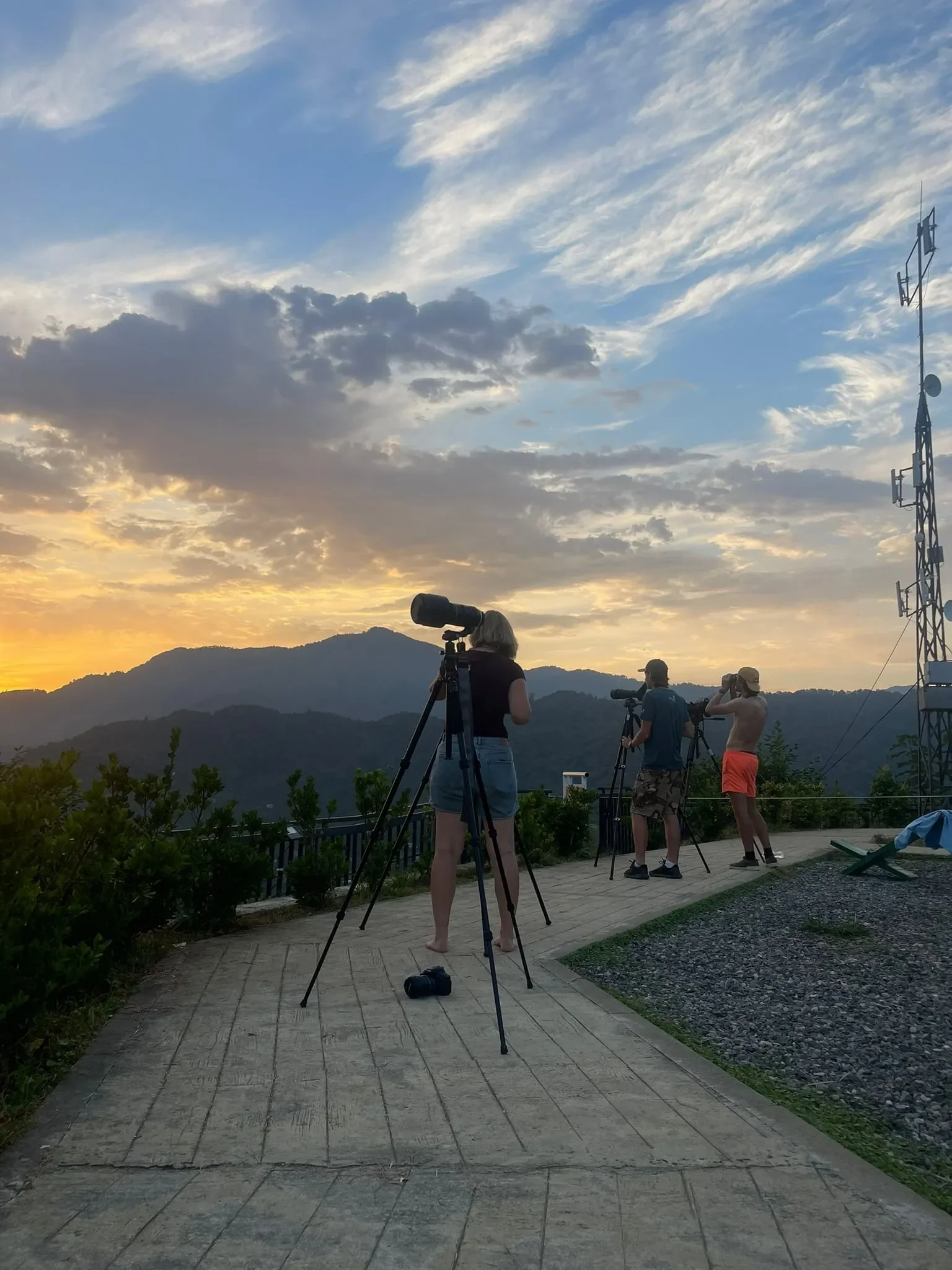 Behind-the-scenes photo from the 2023 Batumi Raptor Count autumn season