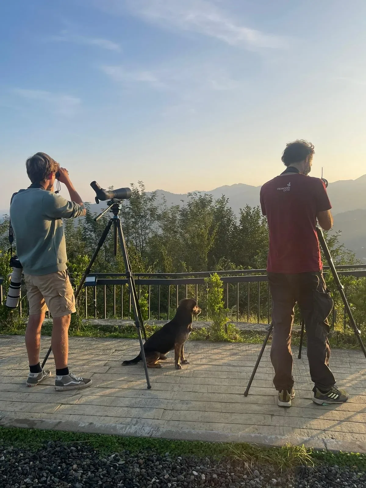 Behind-the-scenes photo from the 2023 Batumi Raptor Count autumn season