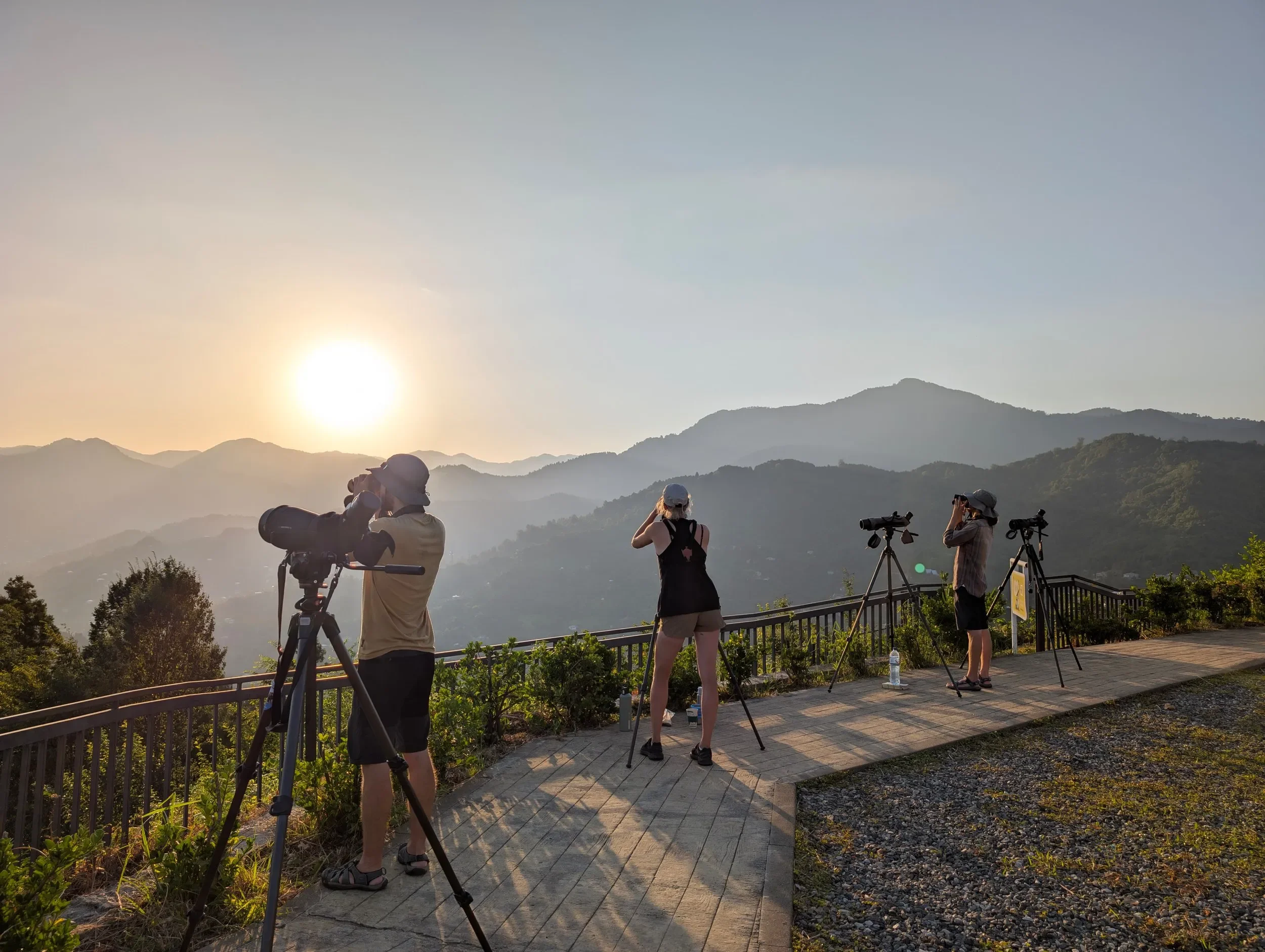 Behind-the-scenes photo from the 2025 Batumi Raptor Count autumn season
