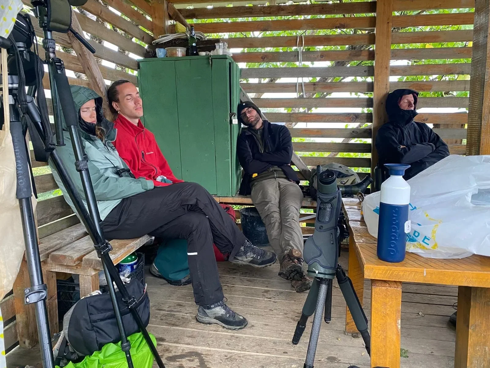 Behind-the-scenes photo from the 2025 Batumi Raptor Count autumn season