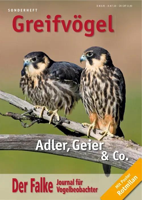 First page of “Einzigartiger Greifvogelzug zwischen Schwarzem Meer und Kaukasus”